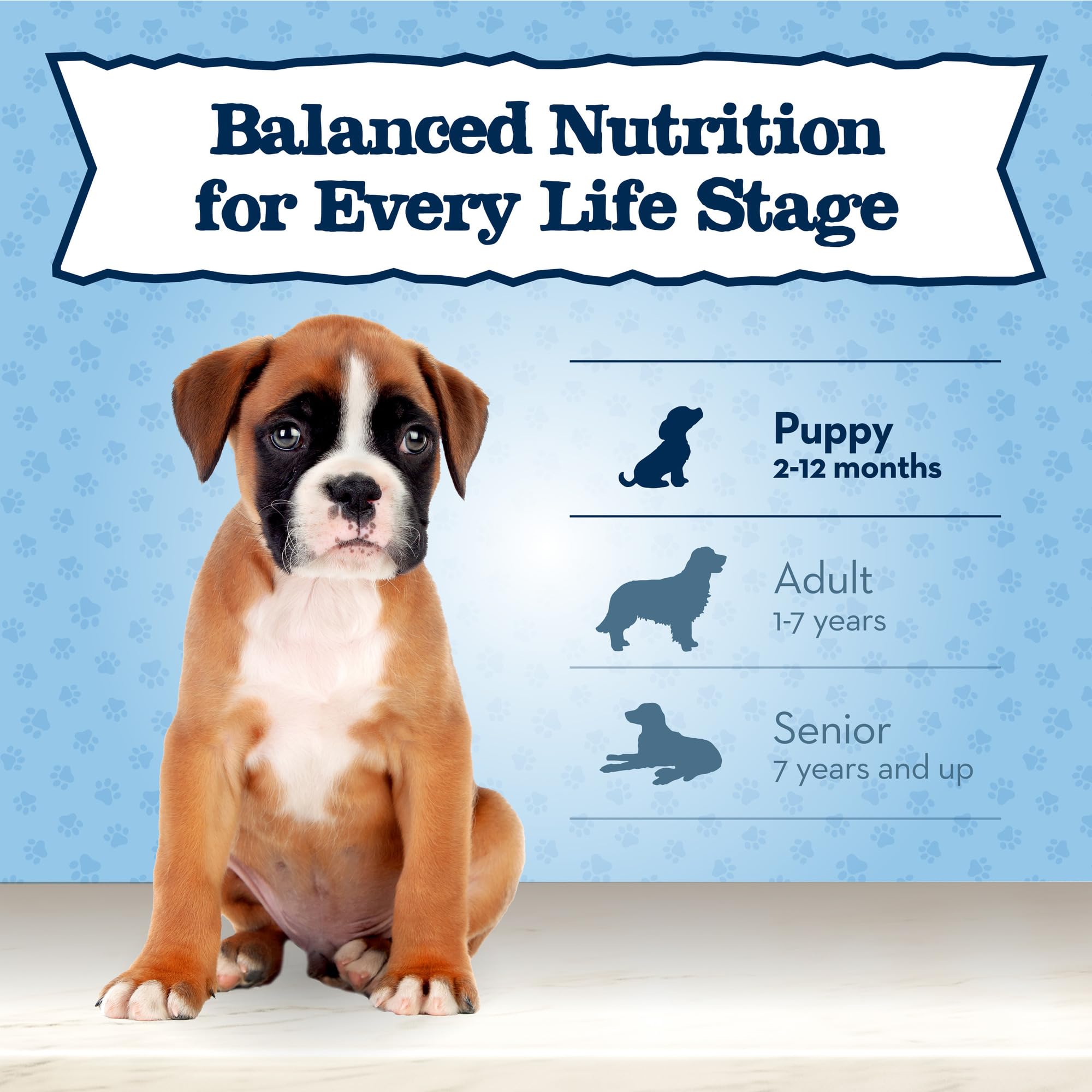 Blue Buffalo Baby BLUE Natural Wet Puppy Food - Healthy Growth Formula with DHA, Turkey & Vegetable Recipe, 12.5-oz Cans (Pack of 12) | High Protein Puppy Food for Small & Large Breed Dogs | Perfect for Weaning, Training & Daily Meals