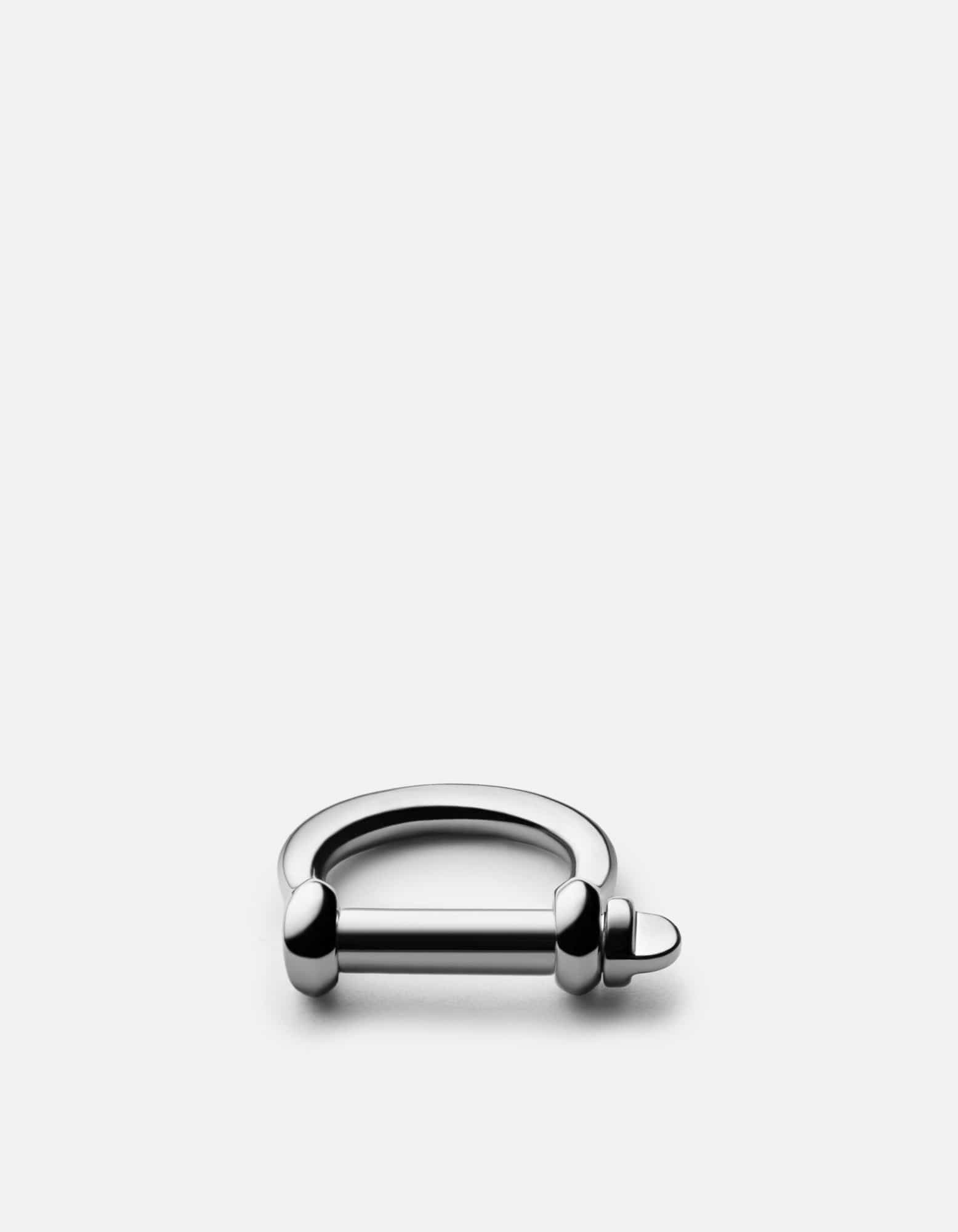 Polished Silver