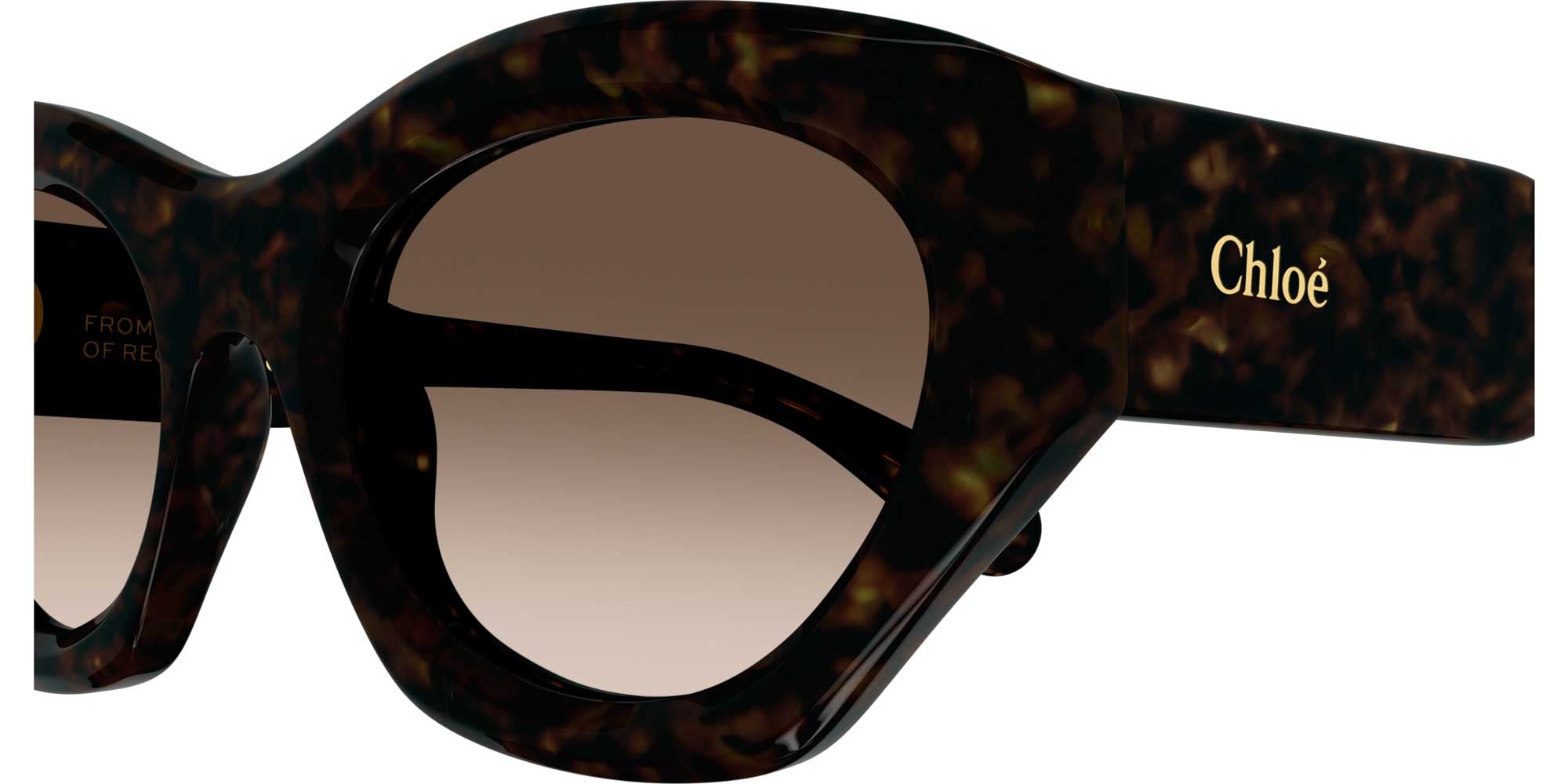Chloe CH0220S Sunglasses - Polarized UV Protection for Women - Perfect for Driving, Beach & Outdoor Activities