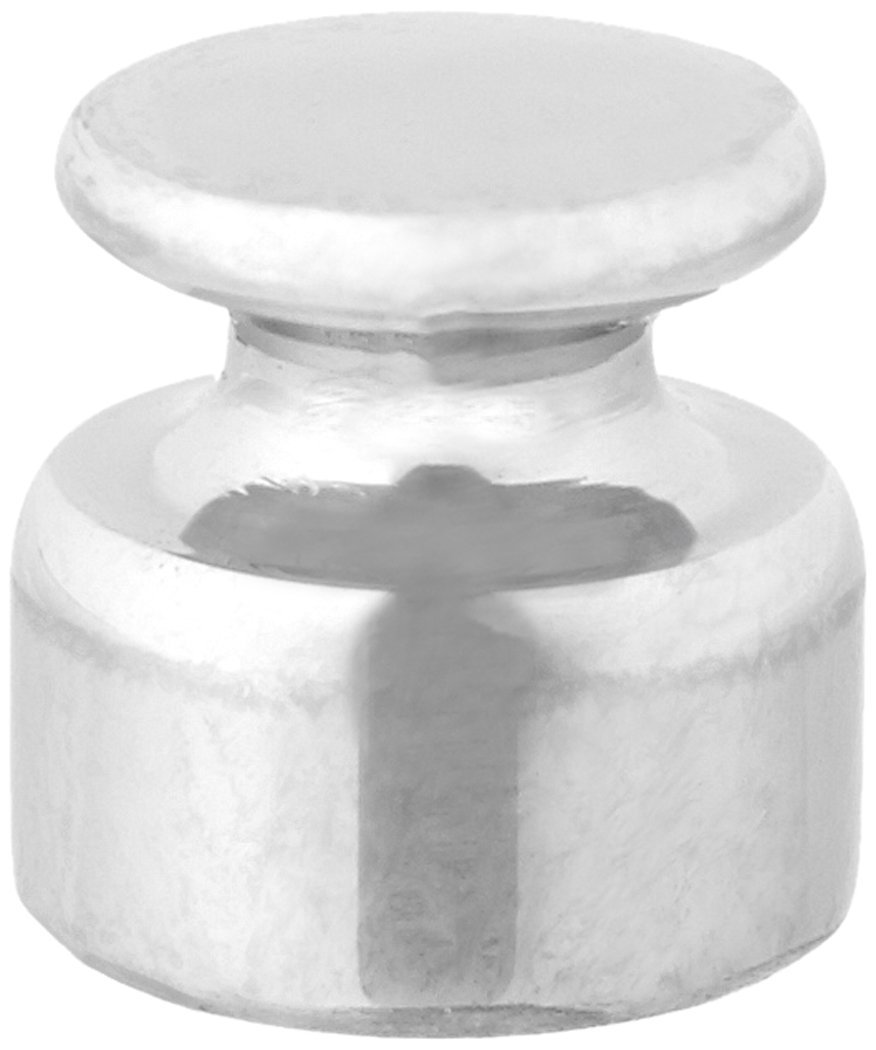 Mettler Toledo 1229J89EA 11123053 CarePac Customized 3rd Weight - OIML E2 Class Precision Weight (1000 mg) for Laboratory Calibration & Quality Control