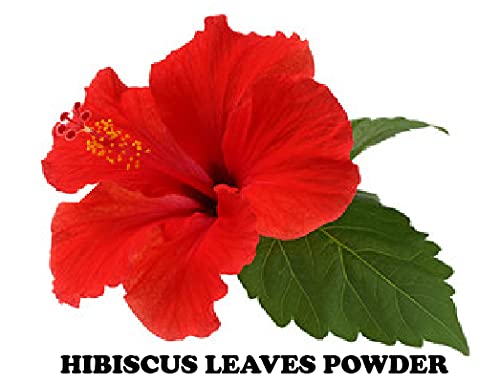Organic Hibiscus Leaf Powder for Hair Growth & Care - 100g | Natural Hair Treatment for Stronger, Shinier Locks | DIY Hair Masks & Scalp Treatments