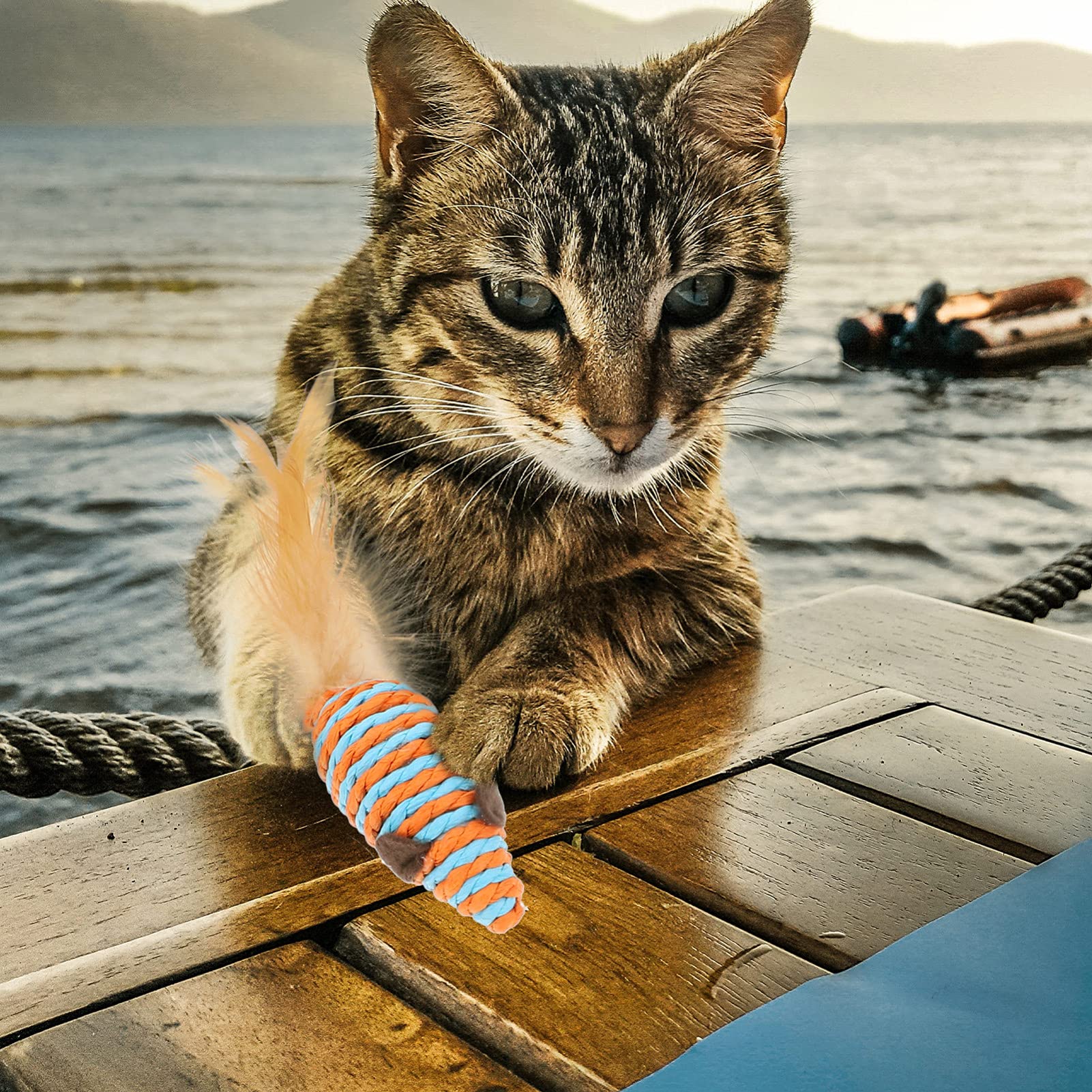 Balacoo Cat Teaser Wand Toy Set - Interactive Kitten Toys with Natural Chew Rope for Indoor Play & Exercise - Perfect for Bonding & Active Playtime with Your Cat