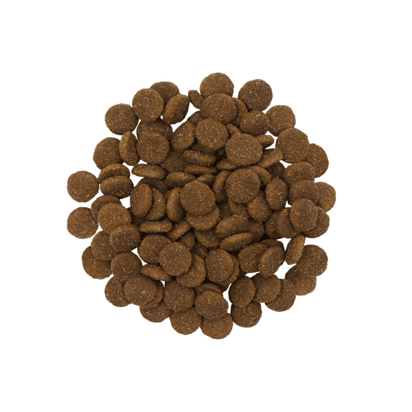 Go! Solutions Skin & Coat Care Large Breed Salmon Recipe with Grains Dry Dog Food - Premium Omega-Rich Nutrition for Healthy Skin & Shiny Coat - Ideal for Large Breed Adult Dogs at Home or Outdoor Activities
