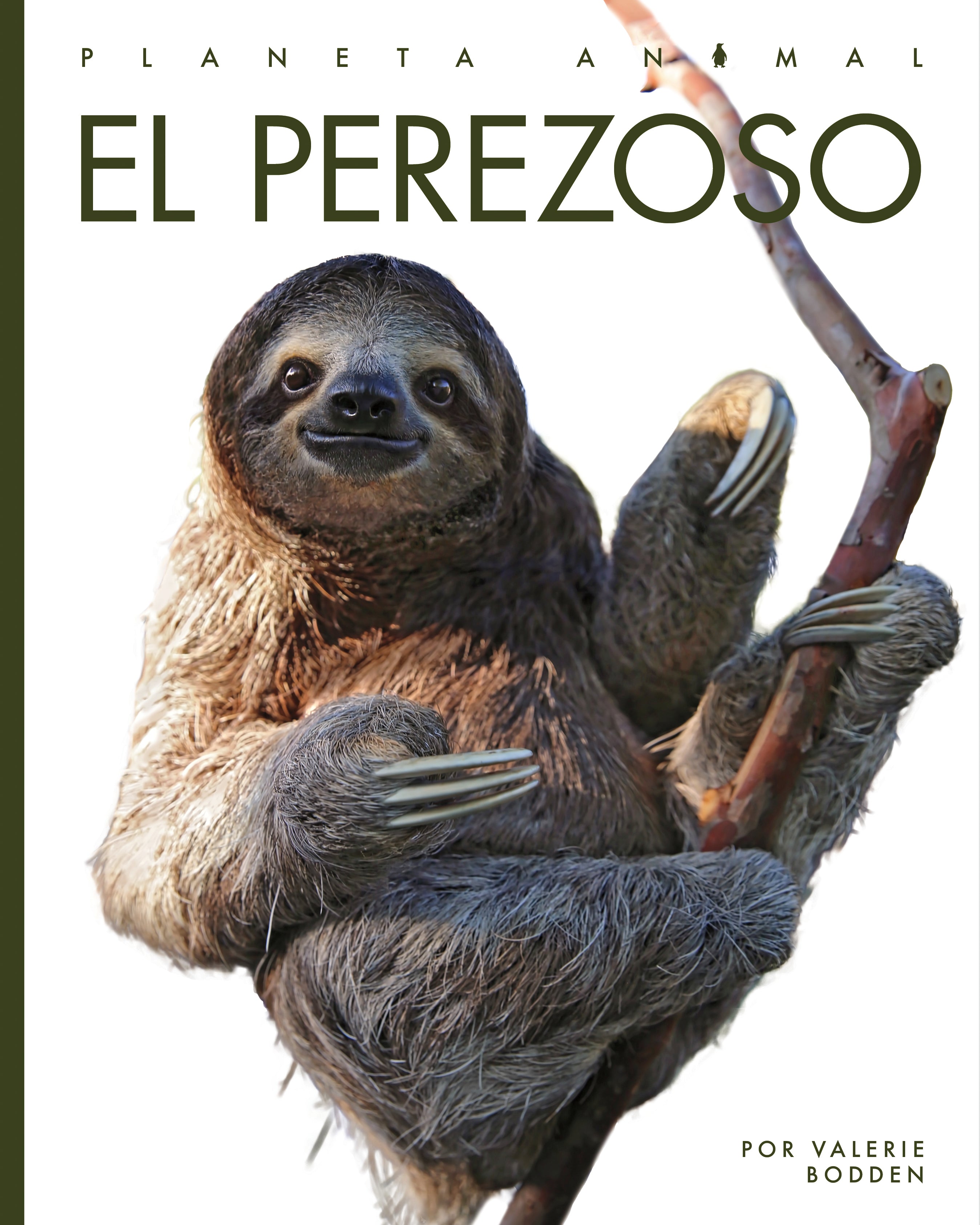 Sloth Book 9781640265868 - Learn About Sloths | Perfect for Kids & Animal Lovers | Great for Homeschooling & Nature Education