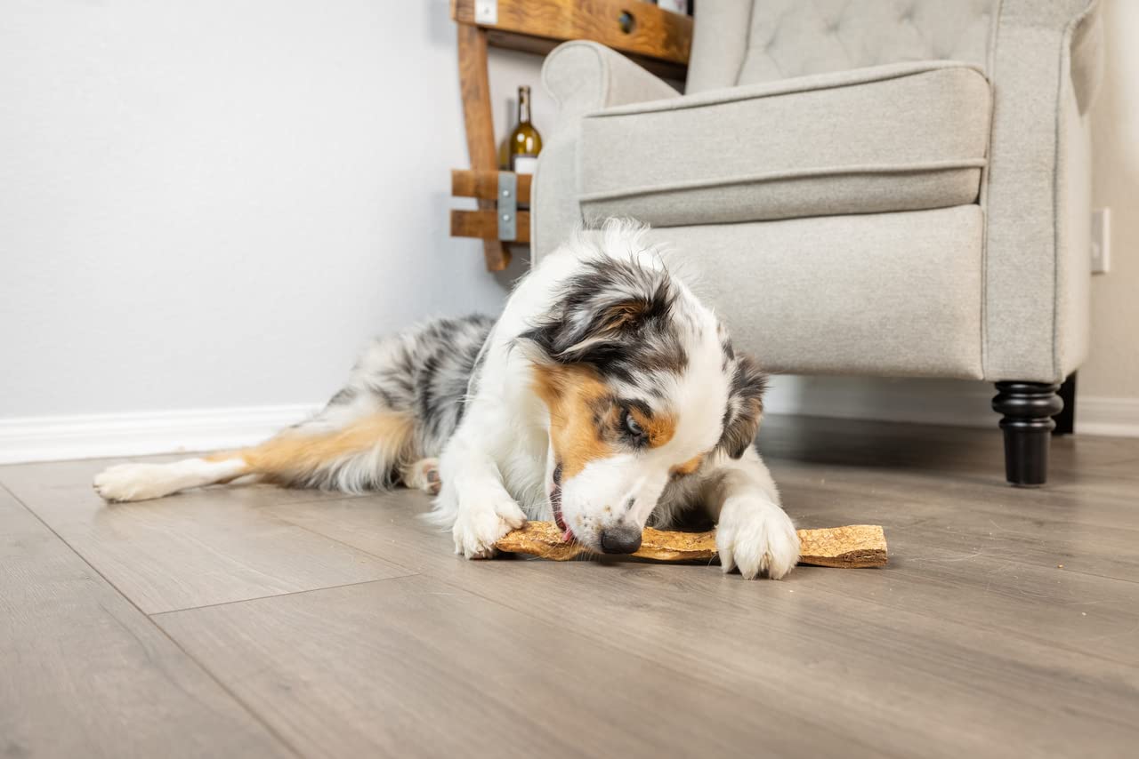 **Premium Extra Thick Beef Cheek Slices – All-Natural Rawhide Alternative Dog Chews | Peanut Butter Flavor | Small 5-6 Inch (10 Pack) – Perfect for Aggressive Chewers & Dental Health**