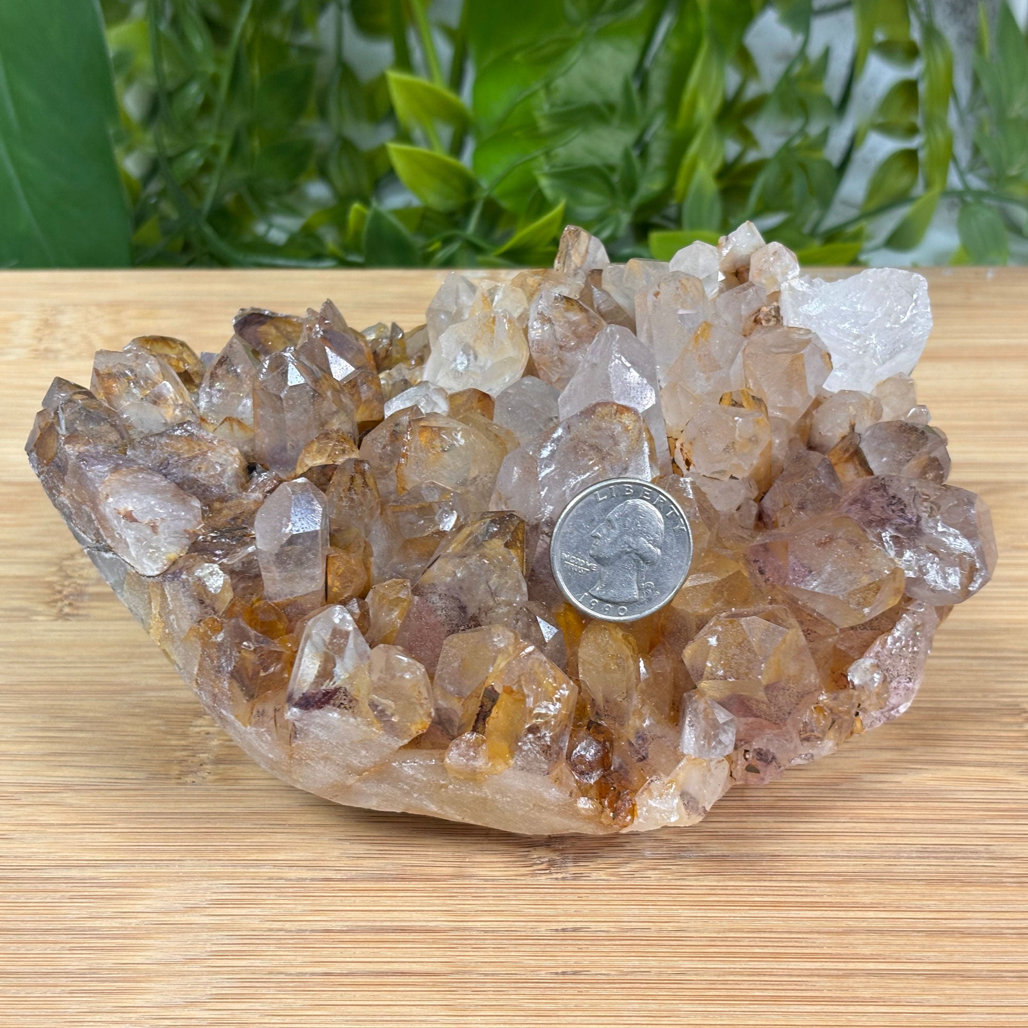 Natural Phantom Quartz Crystal Mineral Specimen - Rare Raw Gemstone with Visible Inclusions for Collectors | Healing Crystal for Meditation & Energy Work | Unique Home Decor & Display Piece for Spiritual Spaces