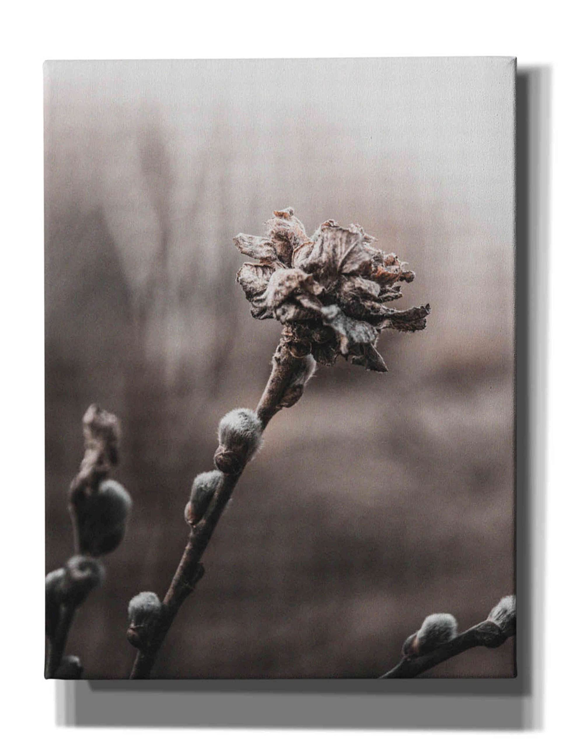 Epic Graffiti 'Spring' by Incado - Premium Giclee Canvas Wall Art Print 26x34 Inches - Modern Home Decor for Living Room, Bedroom & Office
