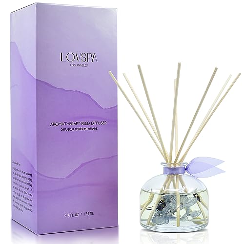 Calm Spanish Blue Lavender