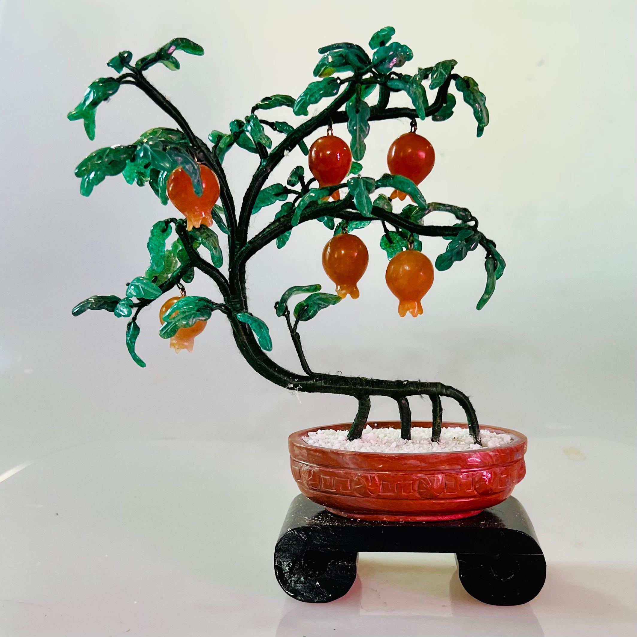 Pomegranate Tree for Sale - Live Fruit Tree for Home Garden & Landscaping | Grow Fresh Pomegranates in Your Backyard