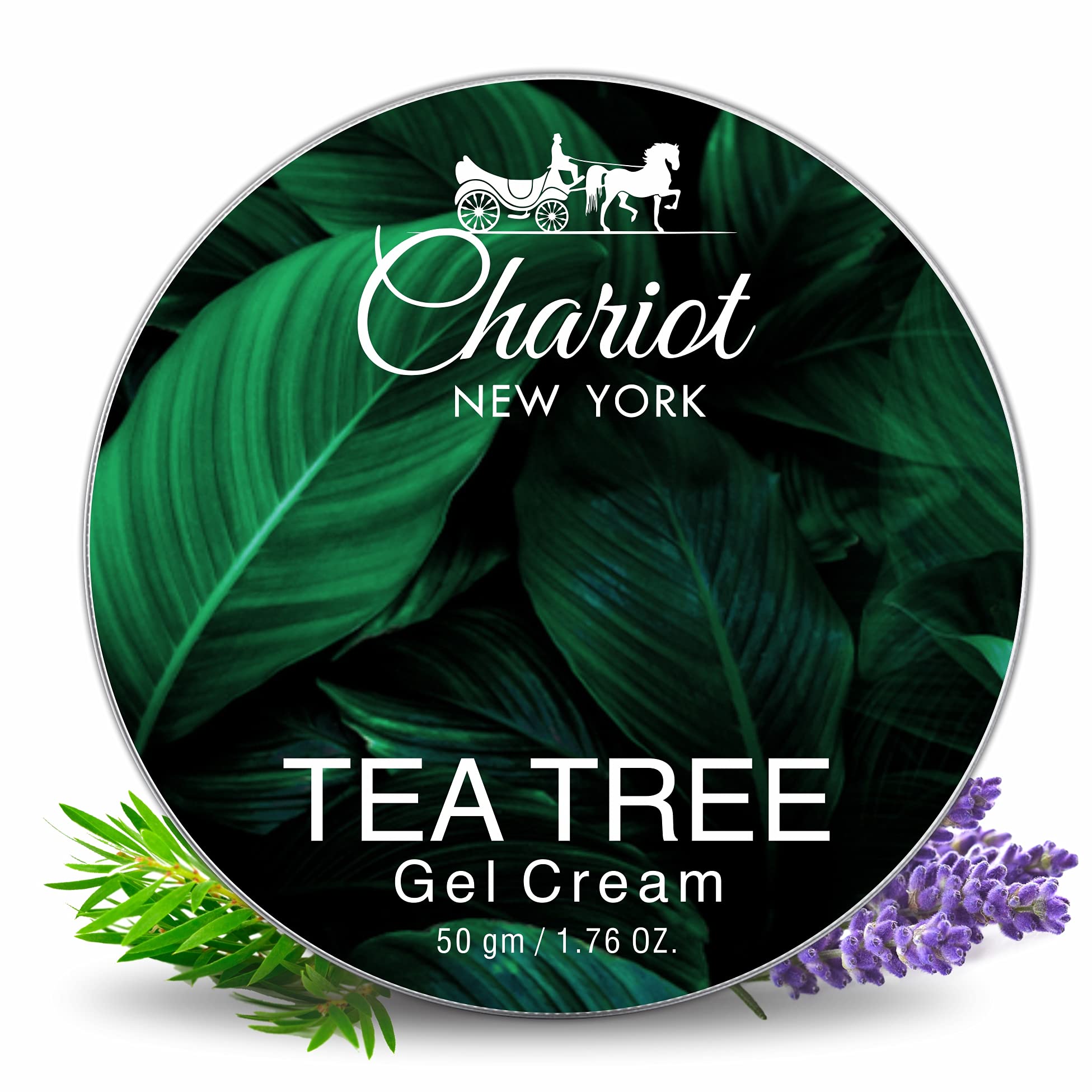 Chariot New York Tea Tree Face Gel Cream 50gm - Oil-Free Hydrating Moisturizer for Acne-Prone Skin | Perfect for Daily Skincare Routine & Blemish Control