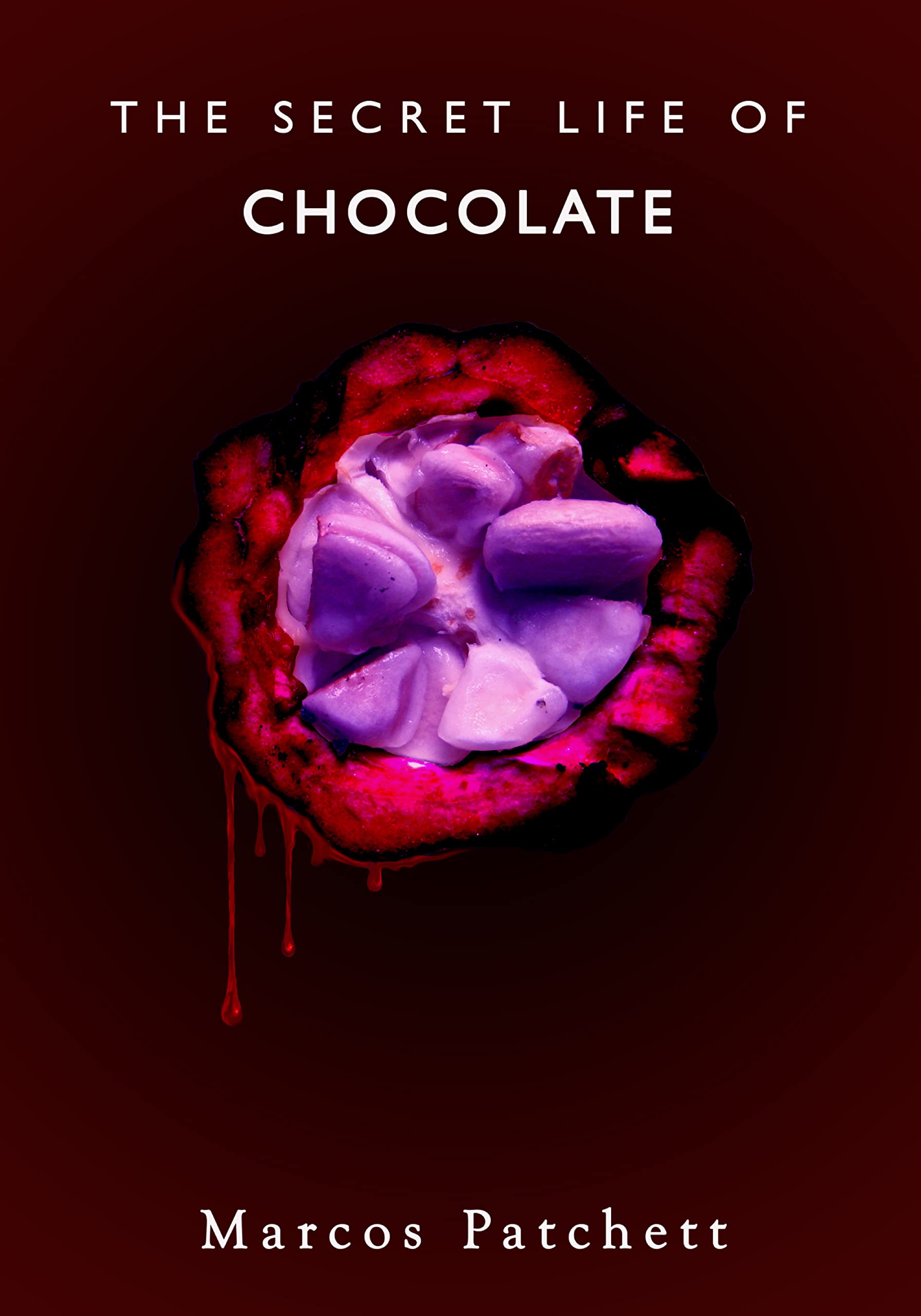 The Secret Life of Chocolate: Premium Gourmet Chocolate Bars for Gifting & Desserts | Perfect for Valentine's Day, Holidays & Special Occasions