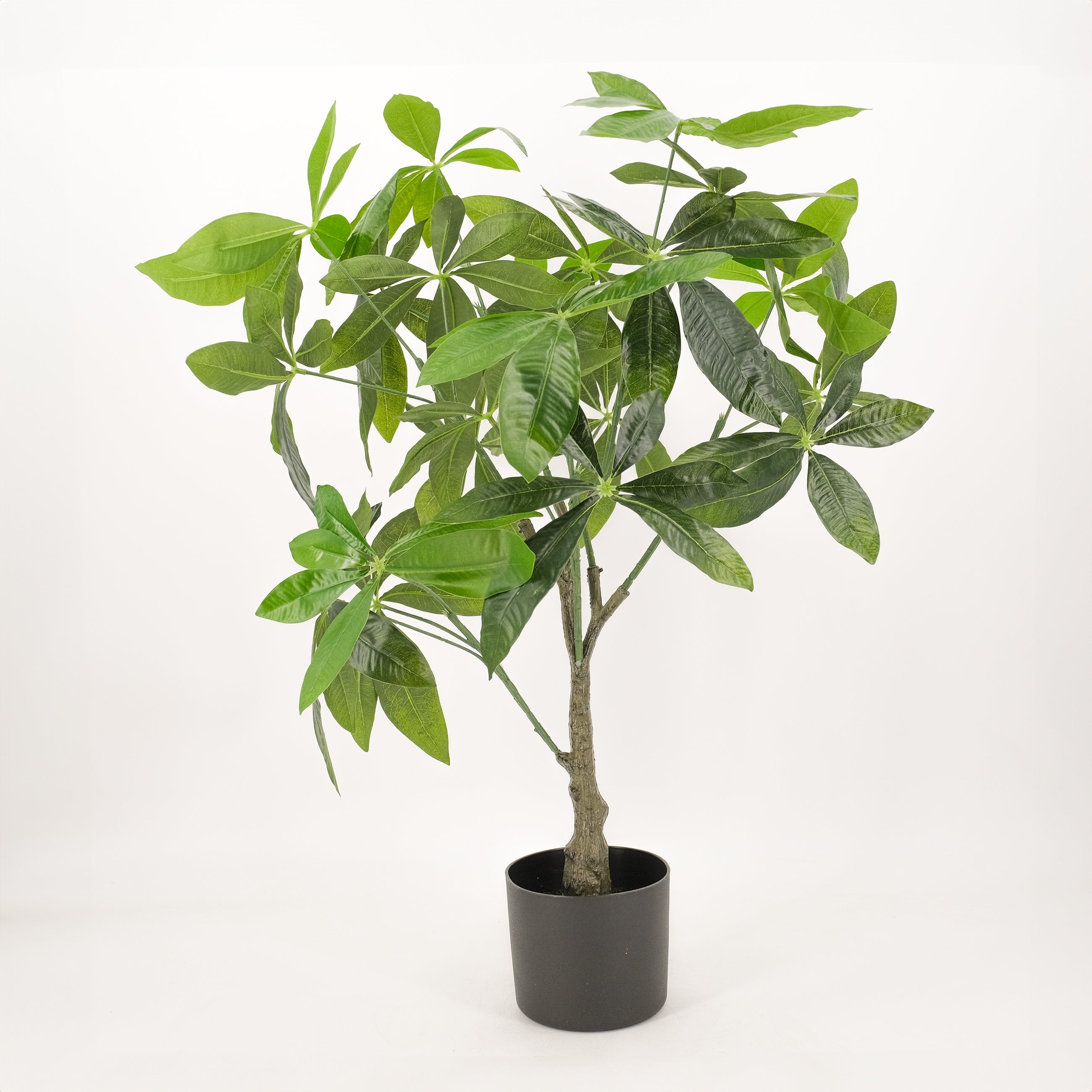 75cm Artificial Money Tree Plant for Home & Office Decor - Feng Shui Lucky Plant for Wealth & Prosperity
