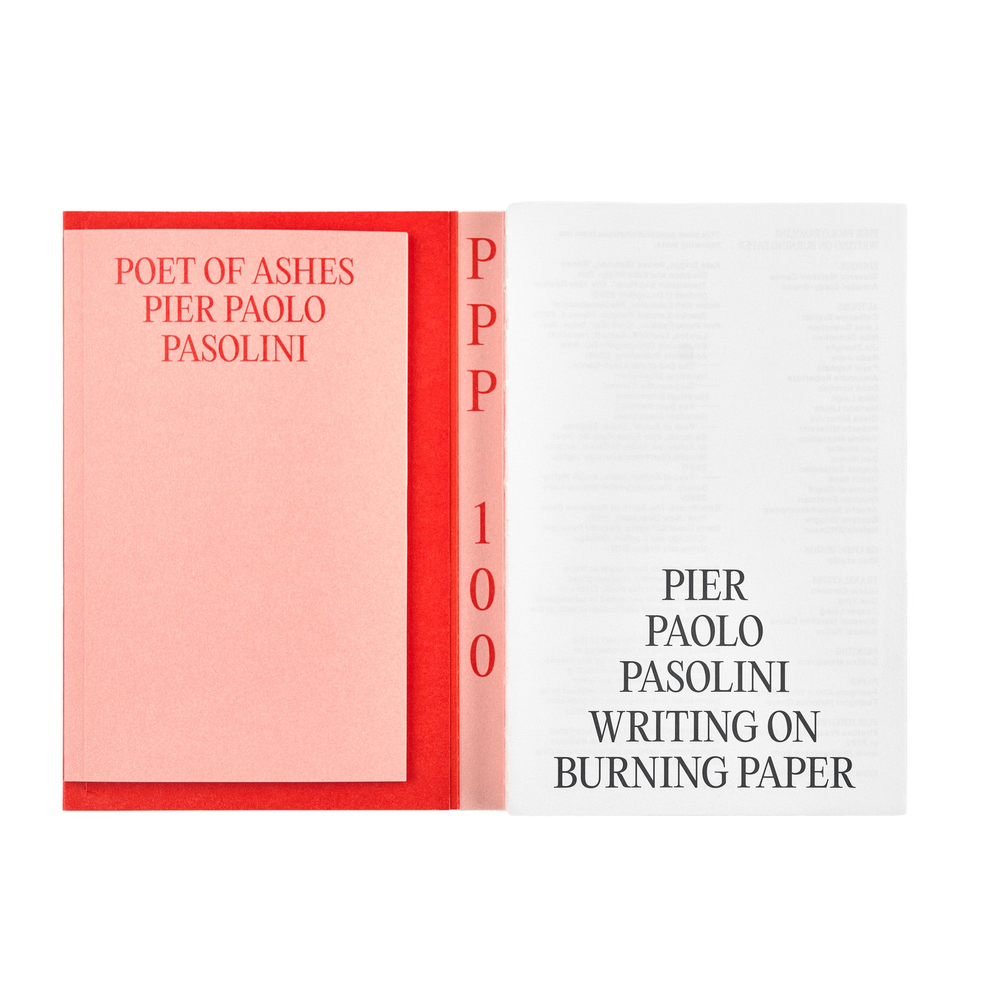 Fireflies: Pier Paolo Pasolini - Writing on Burning Paper | Poet of Ashes | Italian Literature & Film Studies Book for Scholars and Cinephiles