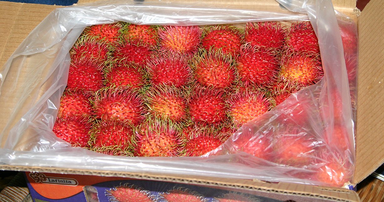 Fresh Rambutan Fruit (5lb) - Exotic Tropical Fruit, Sweet & Juicy, Perfect for Snacking, Smoothies & Fruit Salads