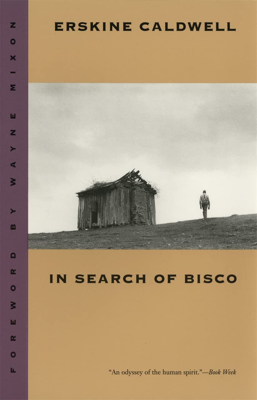 In Search of Bisco (Brown Thrasher Books) - Perfect for Book Clubs, Gifts & Literary Enthusiasts