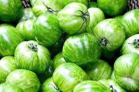 Organic Green Zebra Tomato Seeds - Heirloom Variety, Non-GMO, Bulk Pack of 1,000 Seeds for Home Gardening, Urban Farming & Sustainable Agriculture | Seed Kingdom