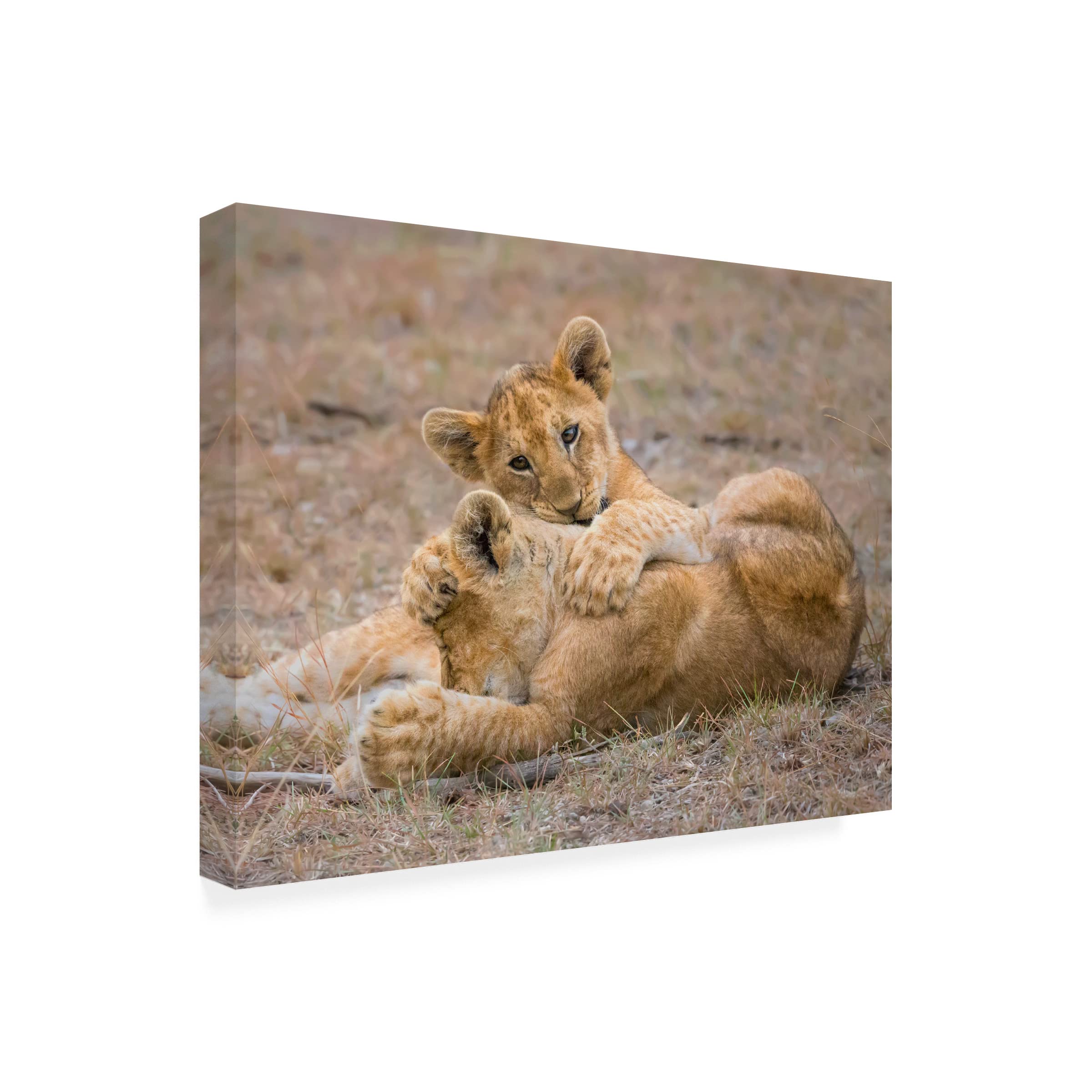 Trademark Fine Art 'The Love' Canvas Wall Art by Young Feng - Romantic Home Decor for Living Room & Bedroom