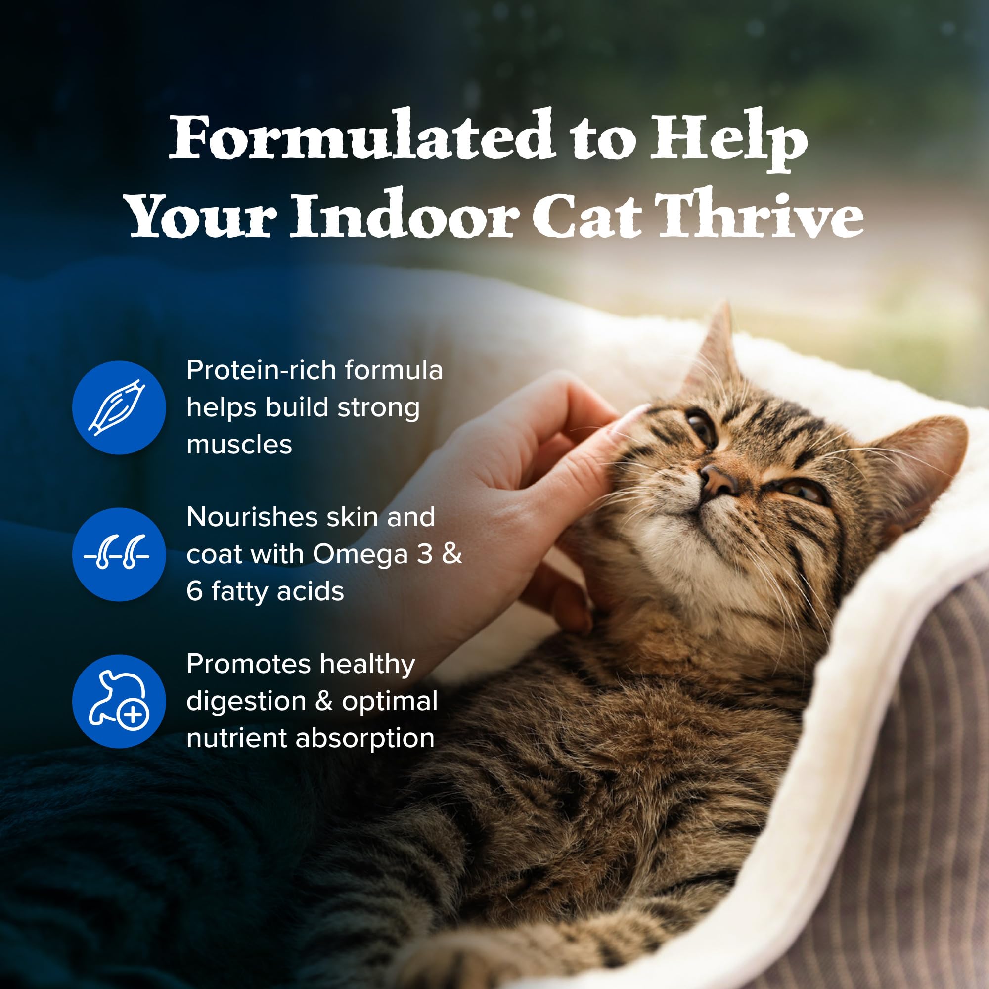 Blue Buffalo Wilderness High-Protein Grain-Free Dry Cat Food for Adult Indoor Cats - Chicken Recipe, 5 lb Bag - Supports Healthy Digestion & Shiny Coat for Indoor Felines