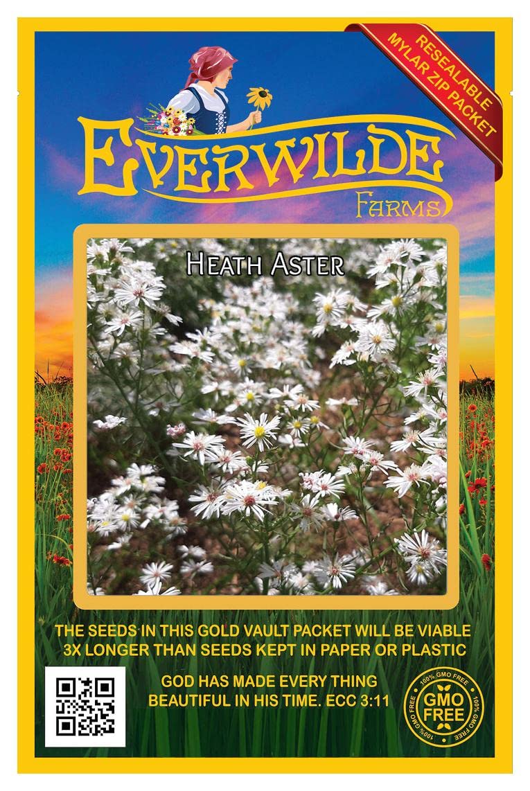 Everwilde Farms - 2000 Heath Aster Native Wildflower Seeds - Gold Vault Jumbo Seed Packet for Pollinator Gardens & Landscaping