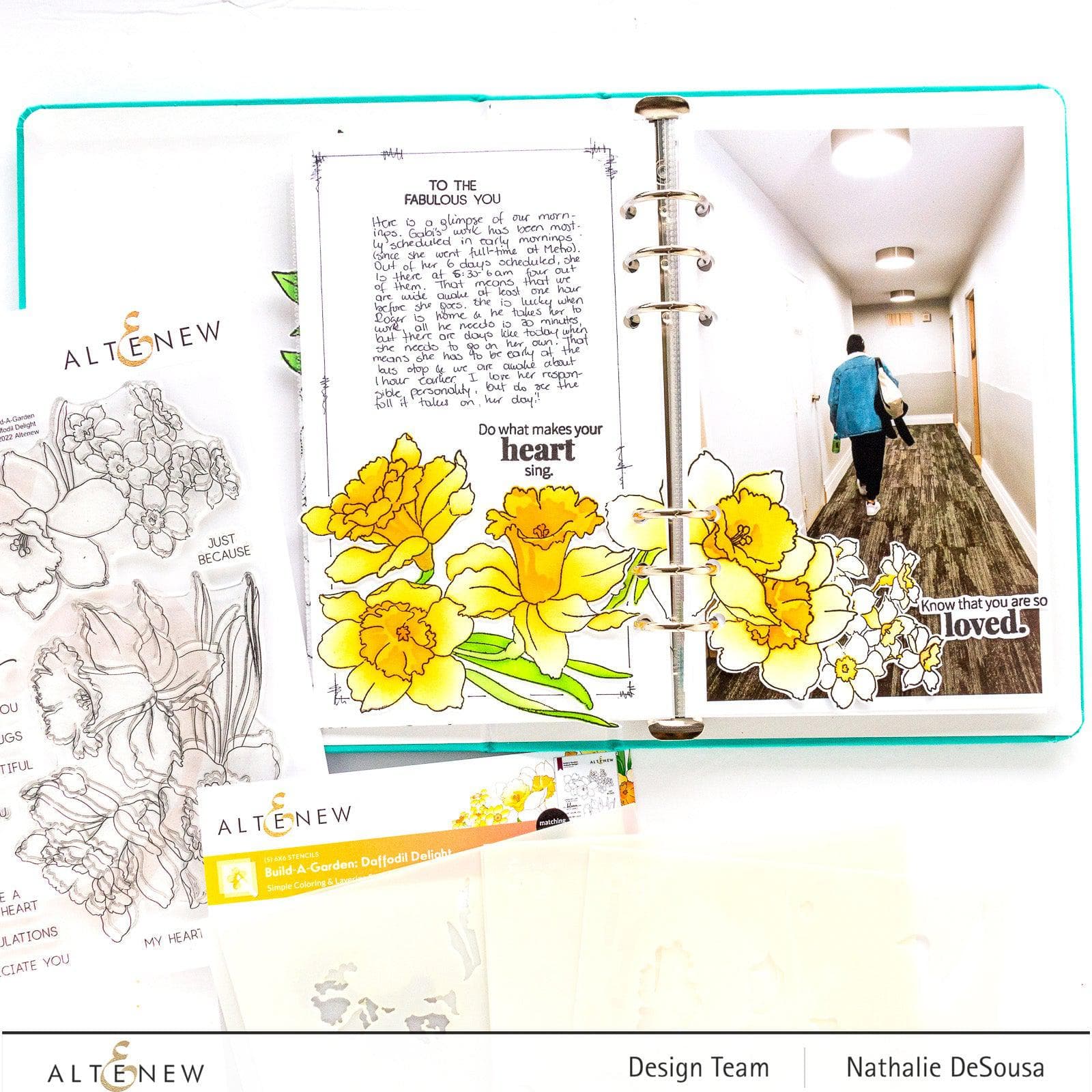 Daffodil Bulbs for Planting - Fresh Flowering Bulbs for Spring Garden, Landscaping & Outdoor Decor | Perfect for Home Gardens, Flower Beds & DIY Landscaping Projects
