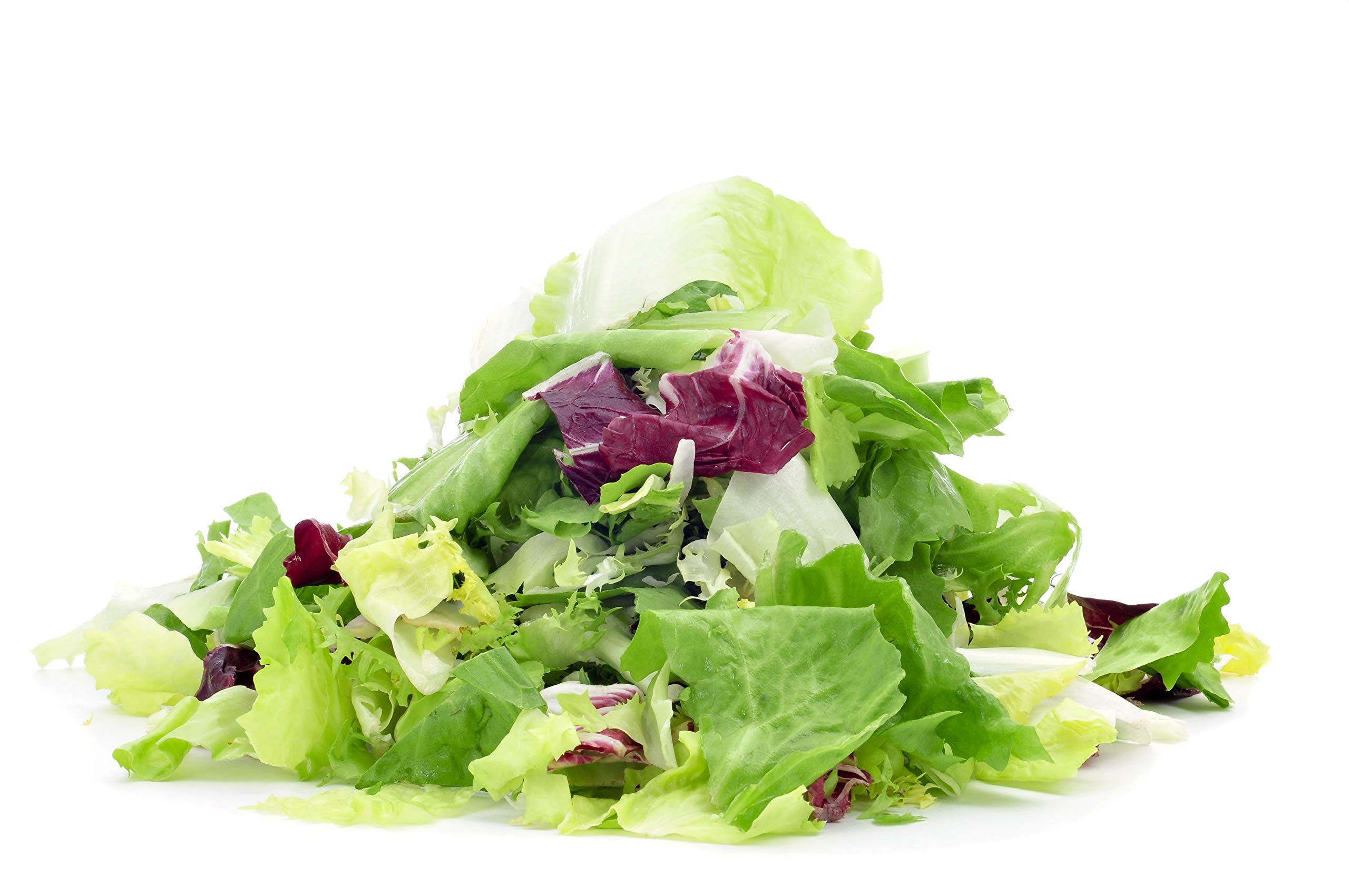Organic Mesclun Mixed Salad Greens Seeds - Non-GMO, Heirloom Variety for Fresh Garden Salads | Perfect for Home Gardening, Indoor Hydroponics & Healthy Eating
