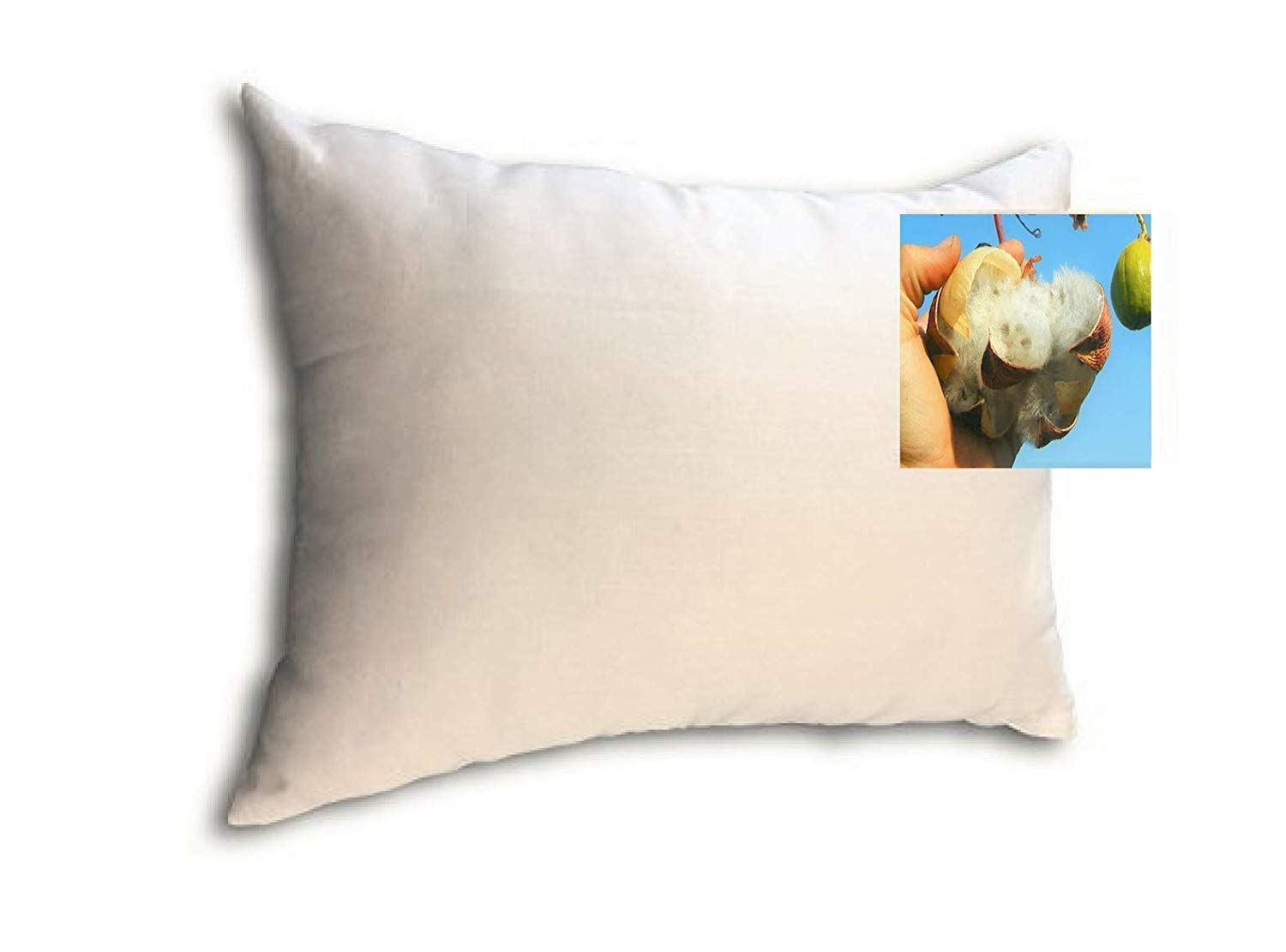 Organic Kapok Filled Pillow 2-Pack - GOTS Certified Natural Pillows with Adjustable Loft & Cooling Cotton Cover - Medium Firmness for Neck Support & Pain Relief - Perfect for Side Sleepers, Back Pain Sufferers & Hot Sleepers
