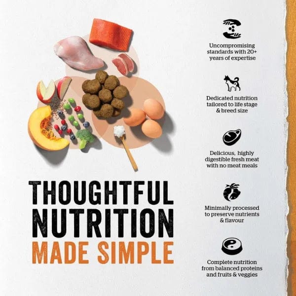 Now Fresh Turkey, Salmon & Duck Recipe Senior Dry Dog Food - 22lb Bag | Grain-Free High Protein Kibble for Older Dogs | Supports Joint Health & Digestion | Perfect for Senior Dogs with Sensitive Stomachs