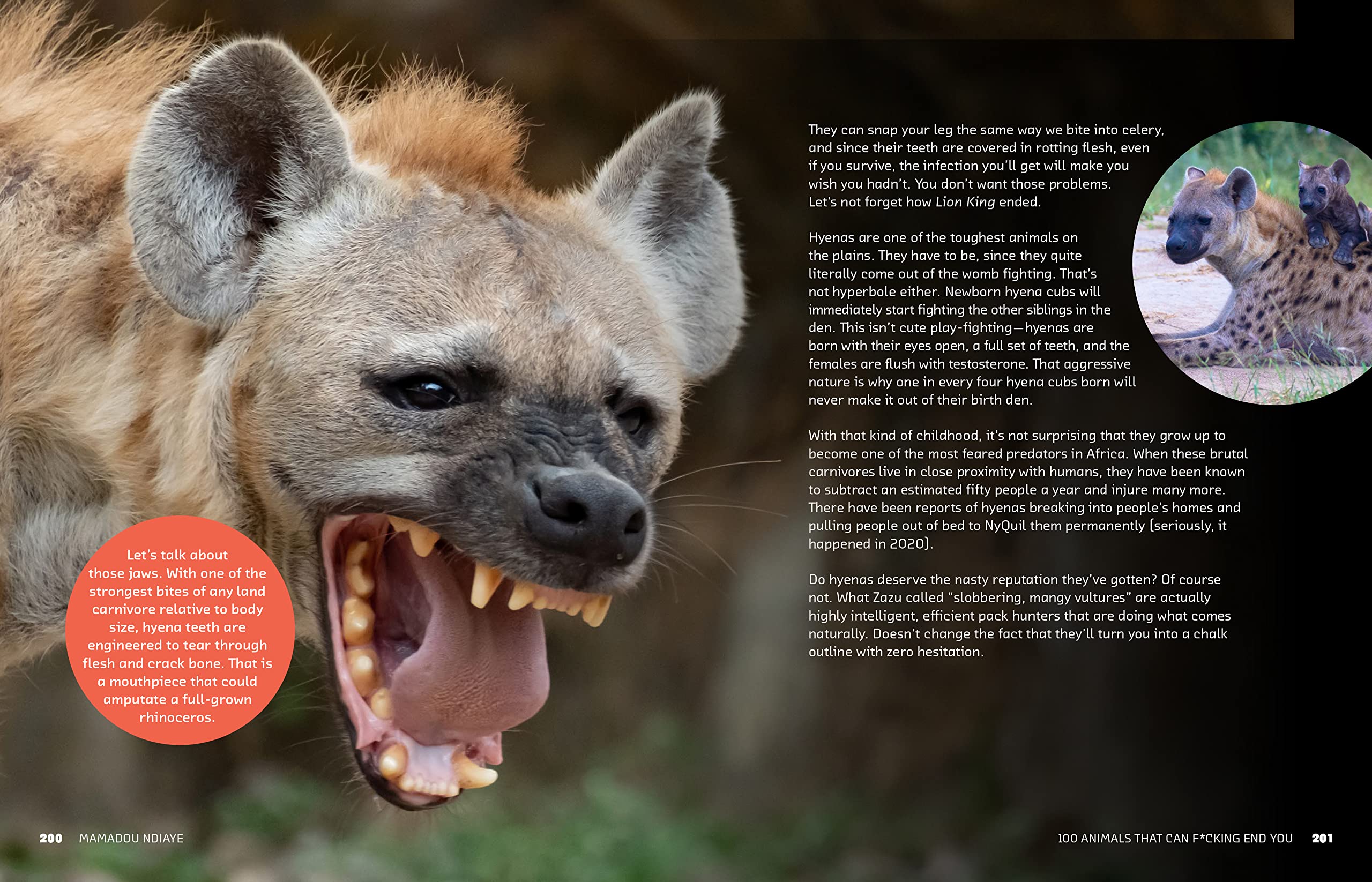 100 Deadly Animals That Can Kill You - Dangerous Wildlife Guide for Outdoor Safety & Survival Tips
