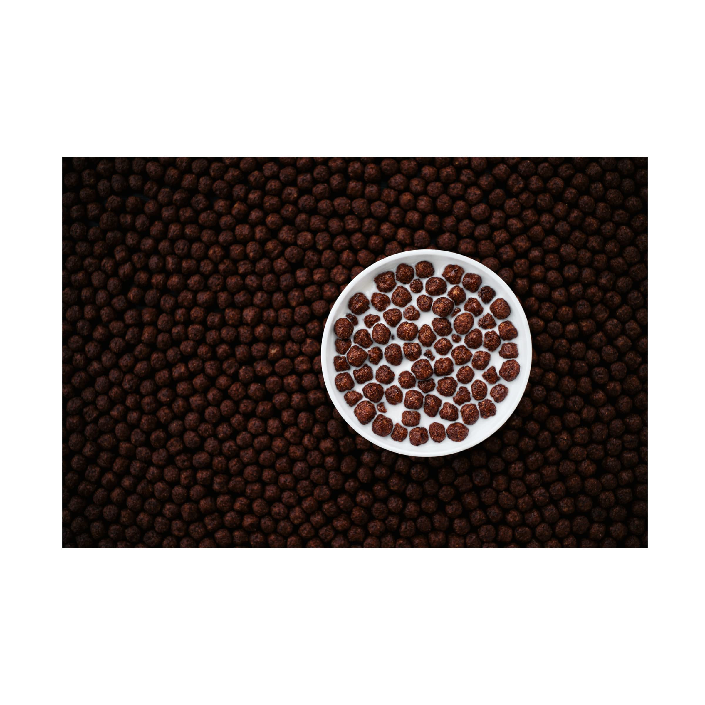 Trademark Fine Art 'Chocolate' Canvas Wall Art by Aleksandrova Karina - Elegant Home Decor for Living Room, Bedroom & Office
