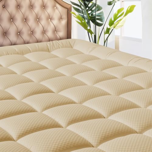 Beige - Checkered