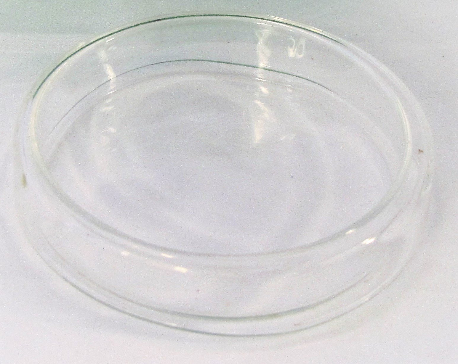 6-Pack 100mm Glass Petri Dishes - Borosilicate Lab-Grade Tissue Culture Plates for Microbiology, Cell Culture & Scientific Experiments