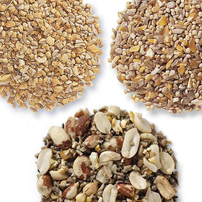 Premium Wild Bird Seed Sampler Set of 3 - Nutritious Blend for Attracting Cardinals, Finches & Songbirds - Ideal for Backyard Feeders, Garden Wildlife & Bird Watching Enthusiasts