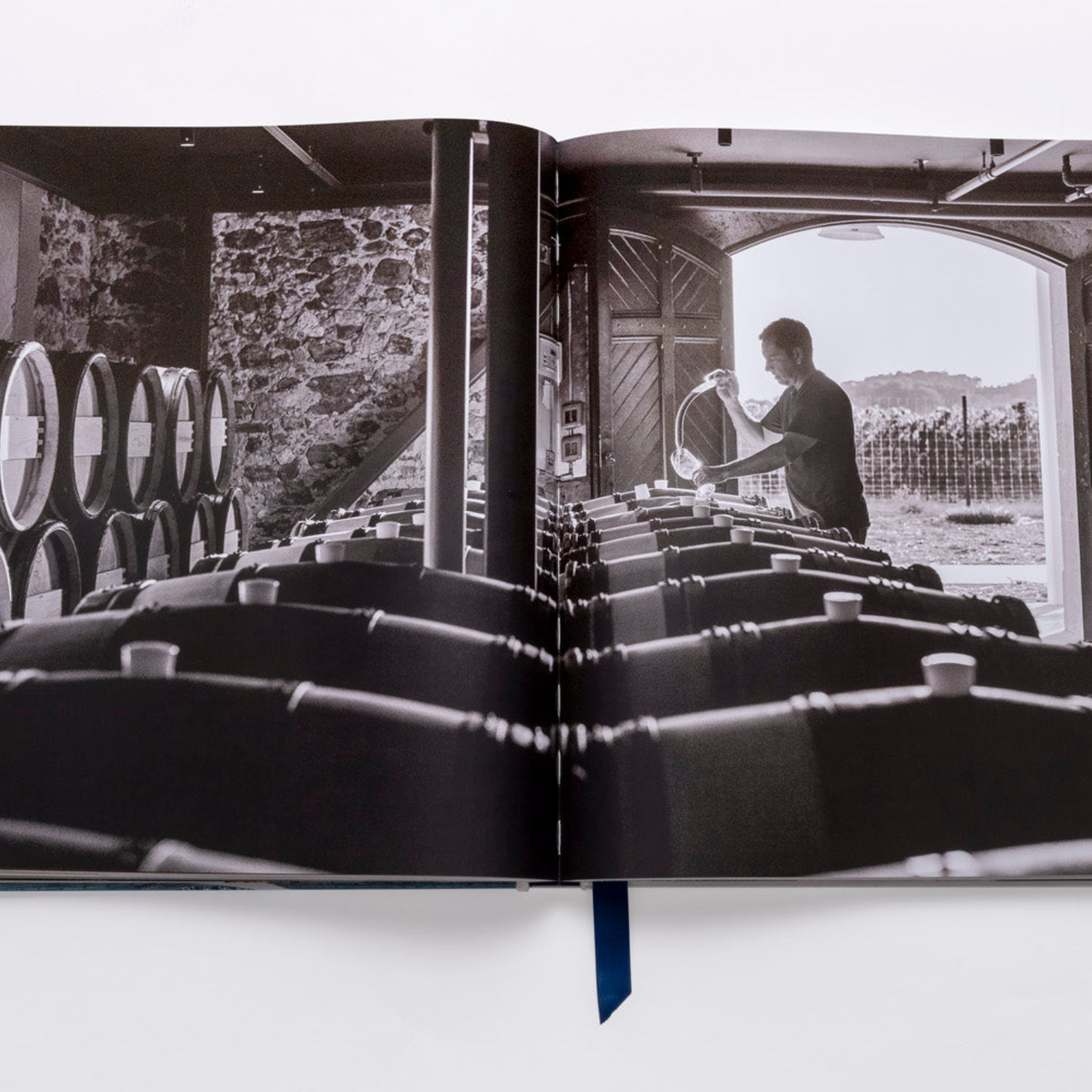 Assouline Wine - Premium Wine Guide & Coffee Table Book for Wine Lovers | Perfect for Gifts, Home Decor & Wine Enthusiasts