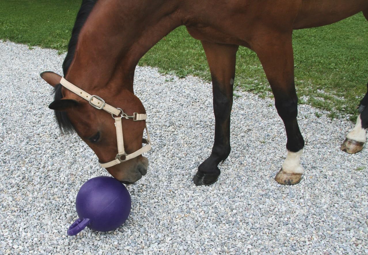 Kerbl Horse Game Ball - Durable Play Ball for Horses & Ponies - Fun Exercise & Training Toy for Equine Enrichment & Stable Play