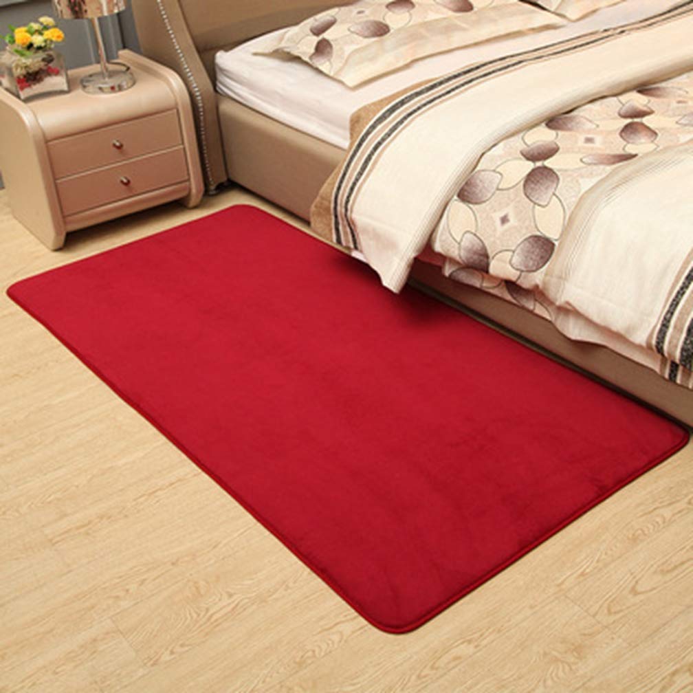 Soft Coral Fleece Anti-Slip Rectangular Rug 2'x8' - Modern Indoor/Outdoor Carpet for Living Room, Bedroom, Nursery & Home Decor - Cozy & Durable Floor Mat for Kids Play Area, Hallway Runner & Pet-Friendly Spaces