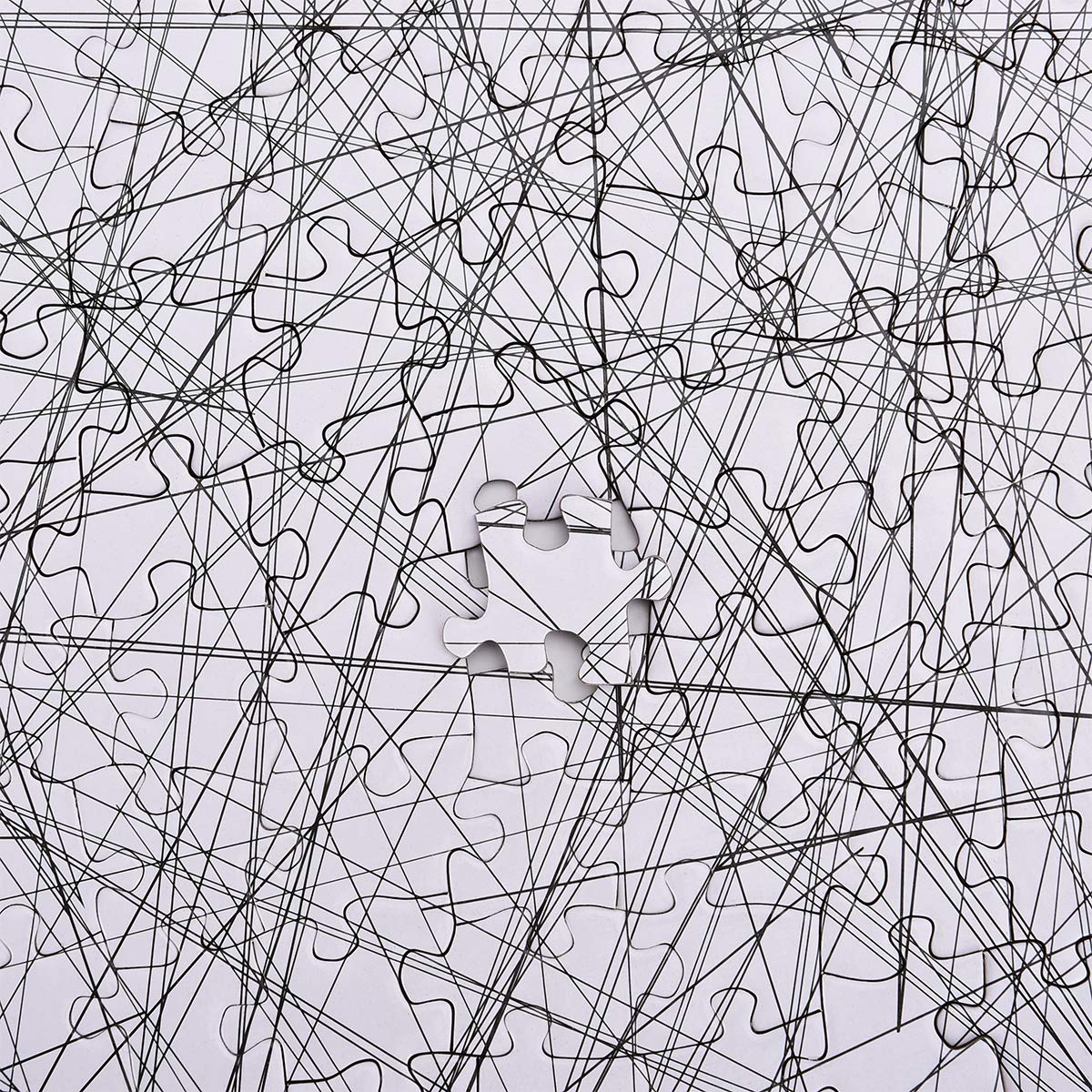 Bgraamiens 1000-Piece Jigsaw Puzzle - The Lines Black & White Challenge | Modern Abstract Art Puzzle for Adults | Perfect for Stress Relief, Family Game Night & Home Decor