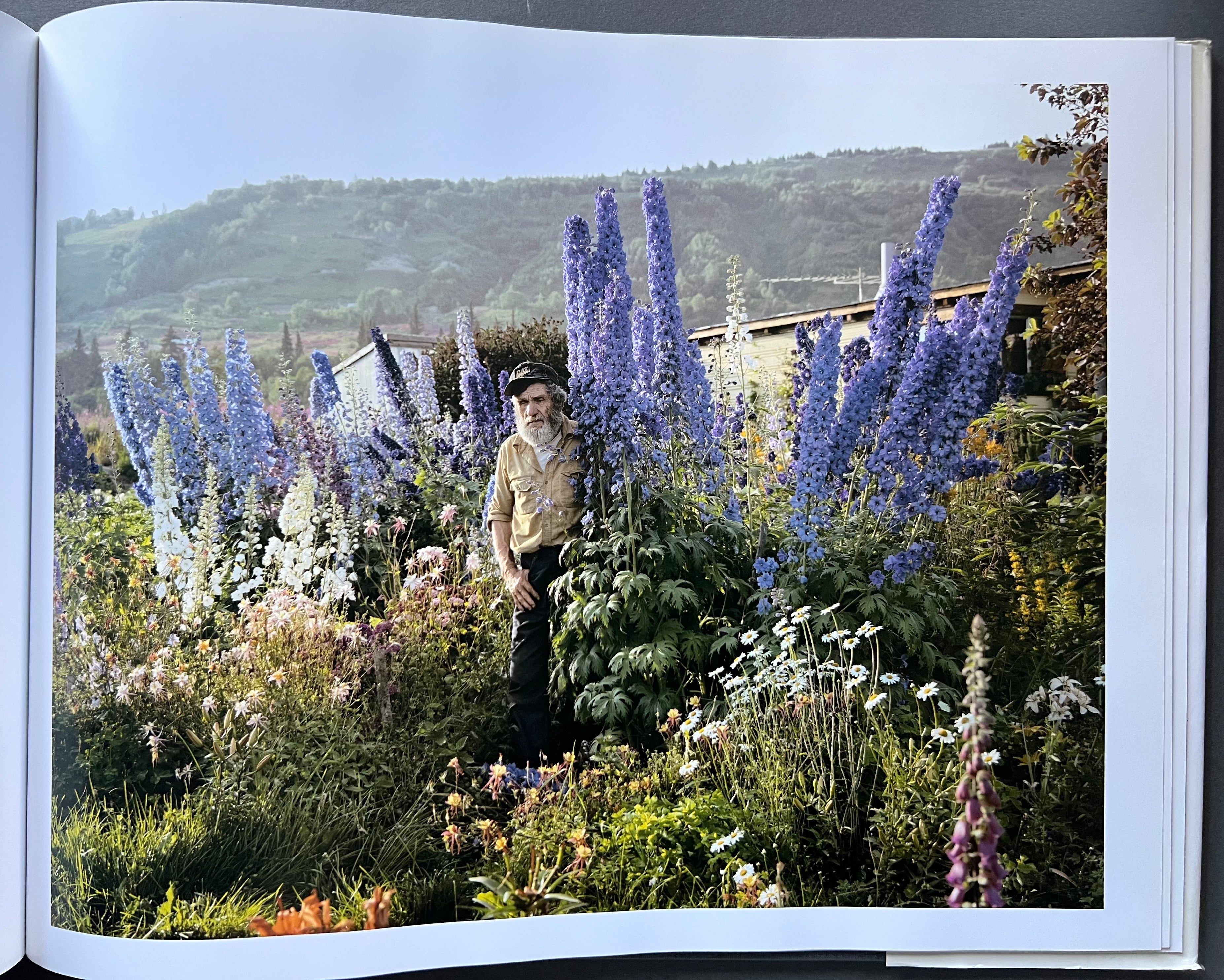 Joel Sternfeld: American Prospects - Photography Book of American Landscapes & Urban Scenes - Perfect for Art Lovers, Photographers & History Enthusiasts