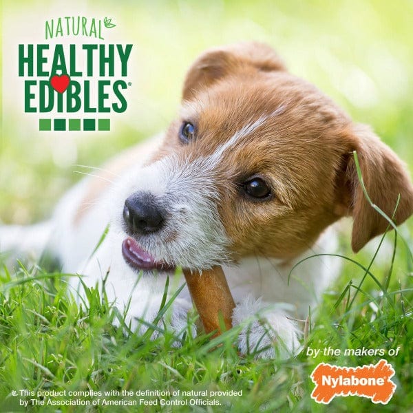 Nylabone Healthy Edibles Roast Beef Flavored Dog Chews - Long-Lasting Dental Treats for Puppies & Adult Dogs - Perfect for Teething, Chewing & Oral Health Care