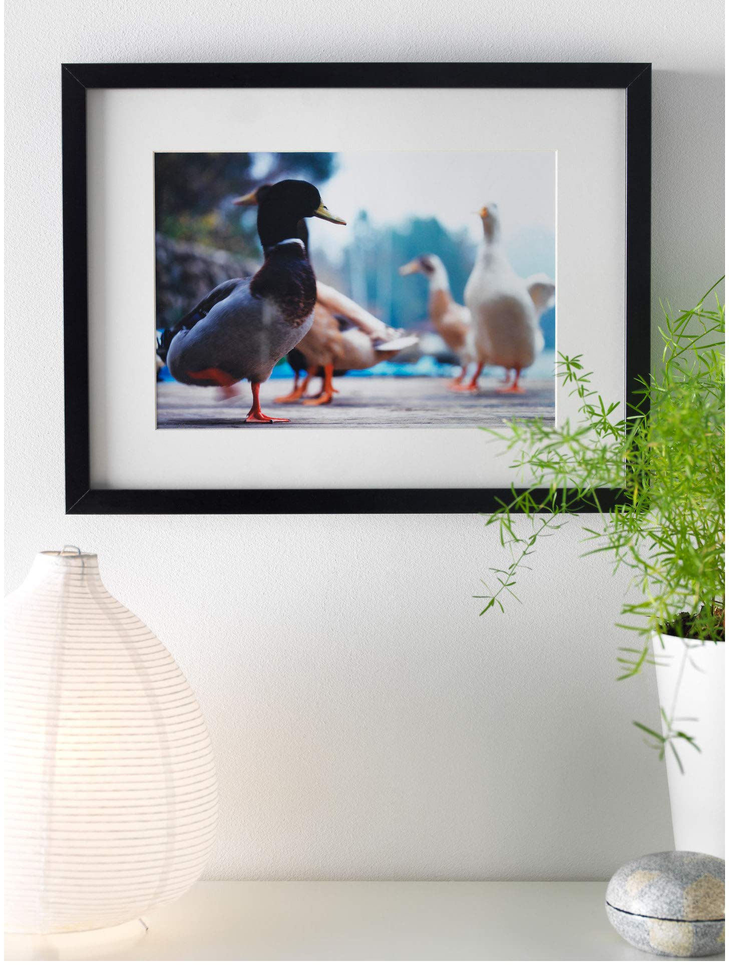 IKEA Ribba Black Picture Frame 12x16 Inches - Wall Art Display for Home, Office & Gallery Decor