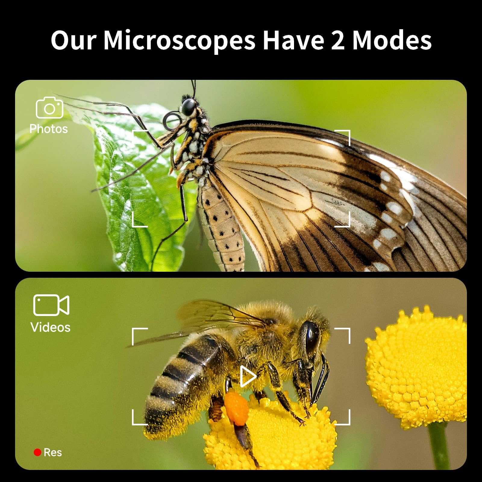 **1600X Digital Microscope for Kids & Adults - 4