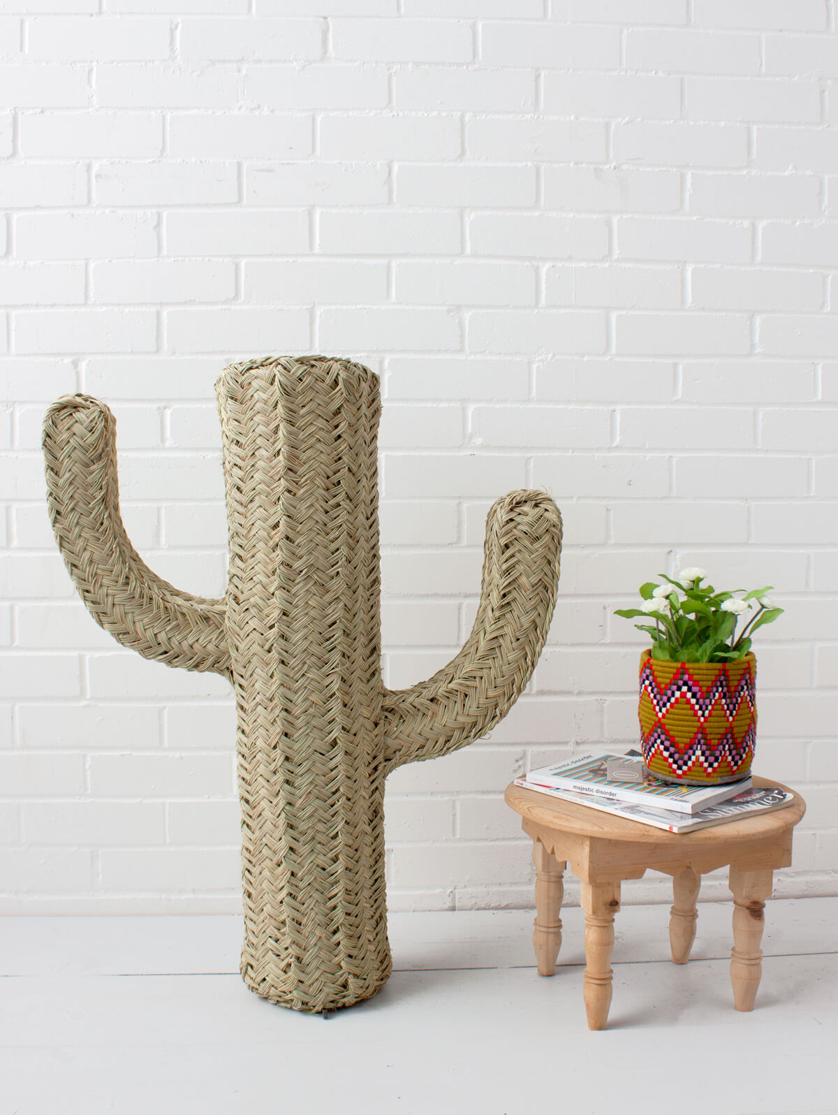 Halfah Grass Cactus - Natural Decorative Plant for Home, Office & Garden | Perfect for Indoor Succulent Arrangements & Desert Landscaping