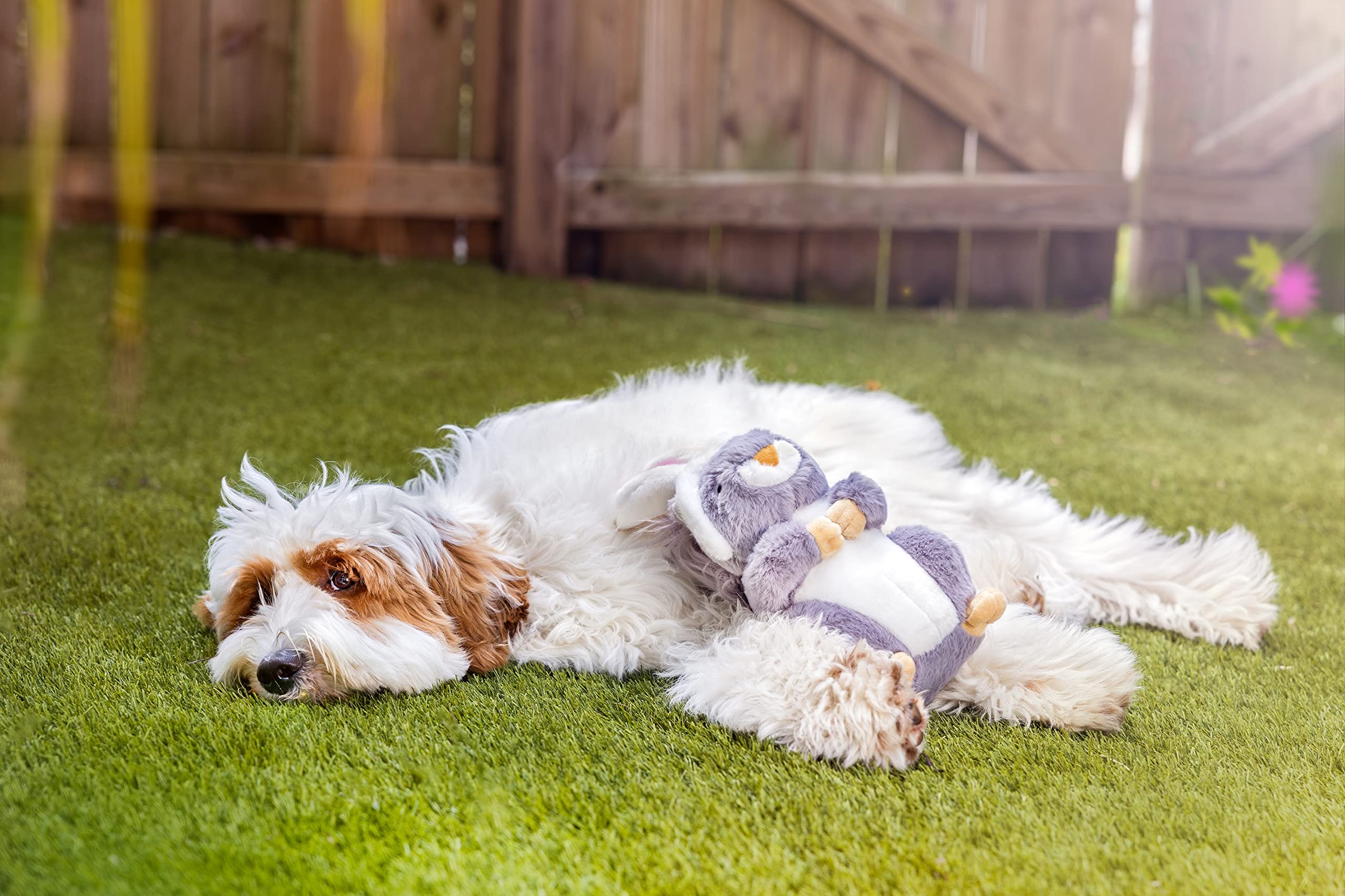 Midlee Easter Squirrel Bunny Plush Large Dog Toy - Soft & Durable Chew Toy for Big Dogs - Perfect for Easter Gifts, Playtime & Training (Brown)