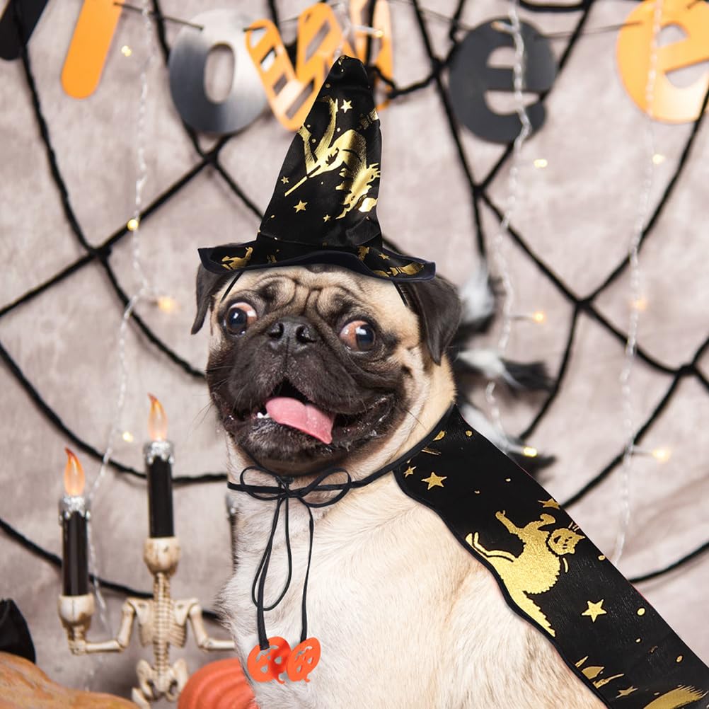 PRETYZOOM Wizard Cape & Witch Hat Halloween Costume for Dogs & Cats - Pet Costume for Small & Medium Pets - Perfect for Halloween Parties, Pet Parades & Photo Shoots