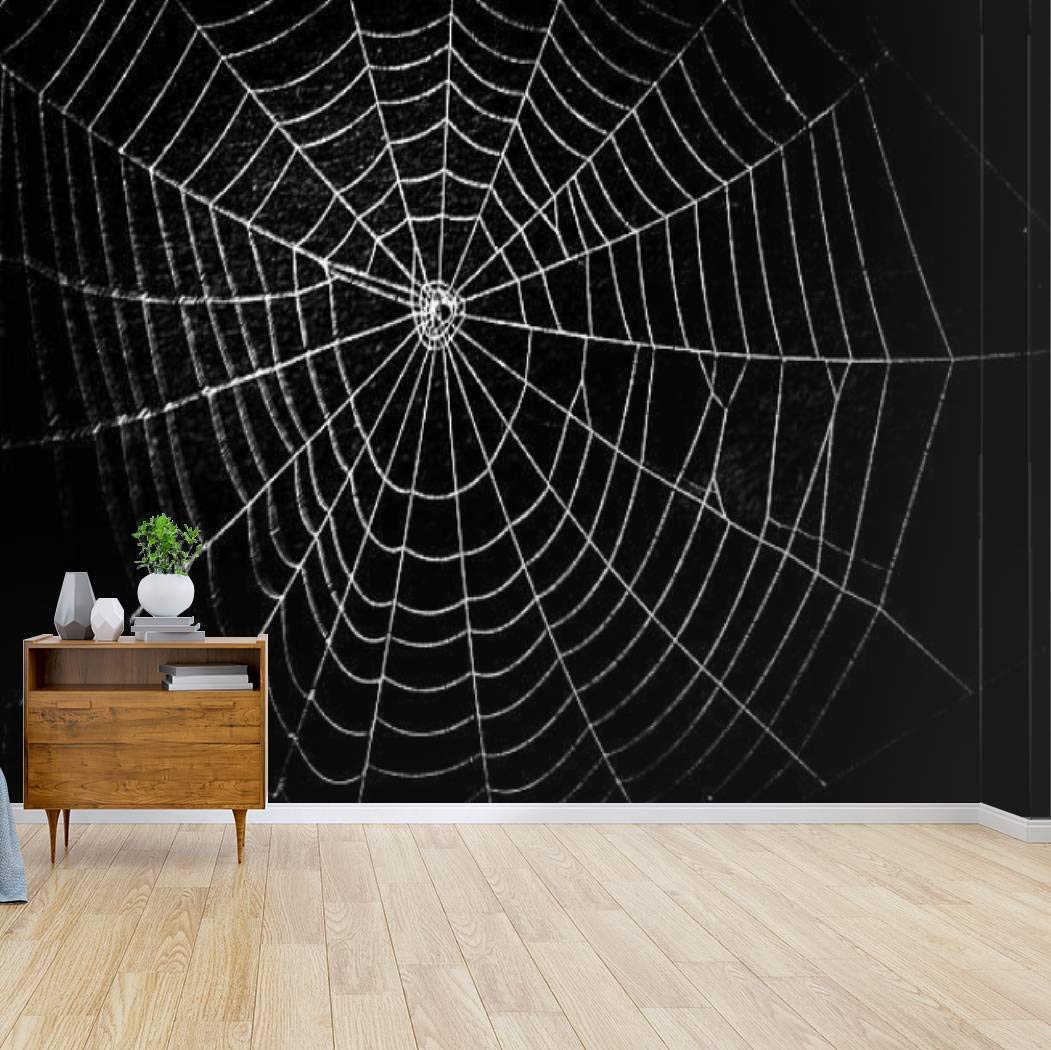 Scary Spider Web Halloween Decor - Geometric Animal Canvas Print, Self-Adhesive Peel & Stick Wallpaper, Wall Mural & Decal for Living Room, Bedroom, Party - Spooky Home Craft Wall Sticker for Halloween Decorations