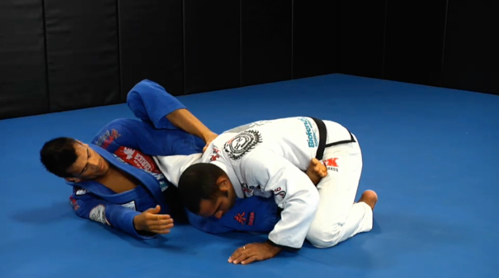 Cobrinha BJJ 7-Volume DVD Set with Rubens Charles - Complete Brazilian Jiu-Jitsu Training for Competition & Self-Defense