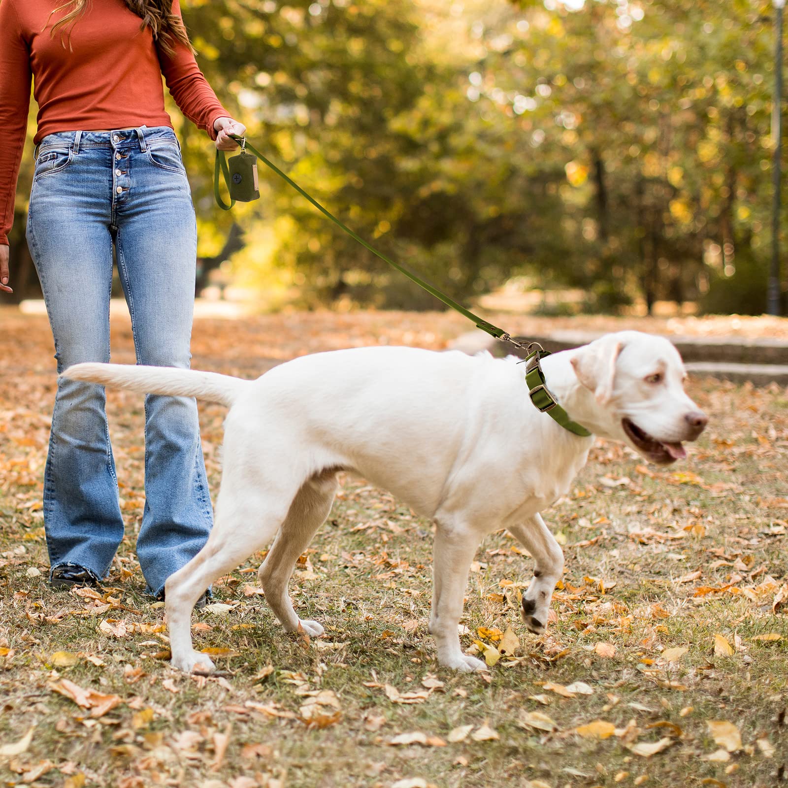 Wisedog Adjustable Dog Collar & Leash Set for Small Medium Large Dogs - Durable Pet Collar with Leash Combo, Bonus Poop Bag Holder Included (XS, Green) - Perfect for Walking, Training & Outdoor Adventures