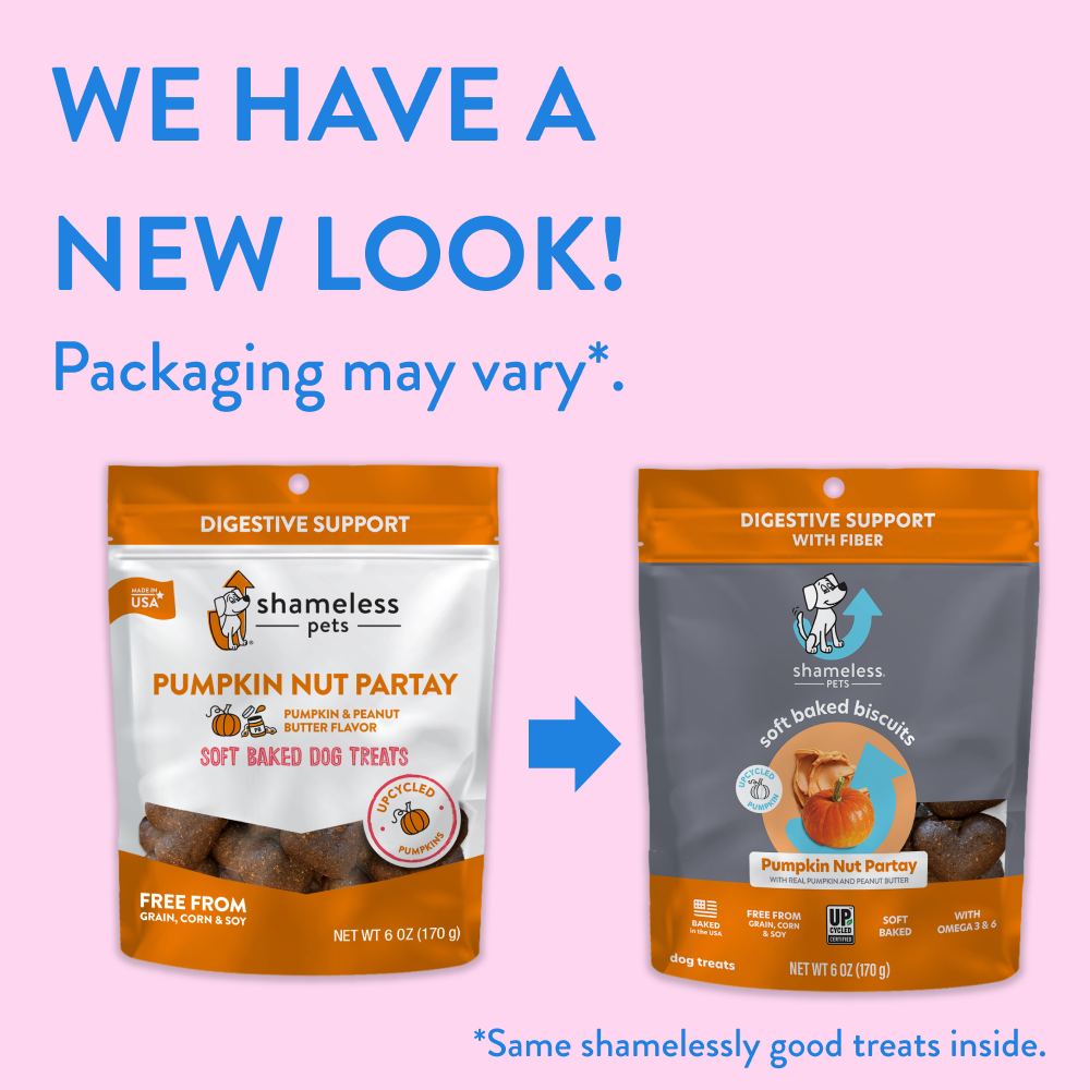 Pumpkin Nut Party Soft Baked Dog Treats - Healthy Natural Snacks for Small & Large Dogs - Perfect for Training, Rewards & Digestive Health