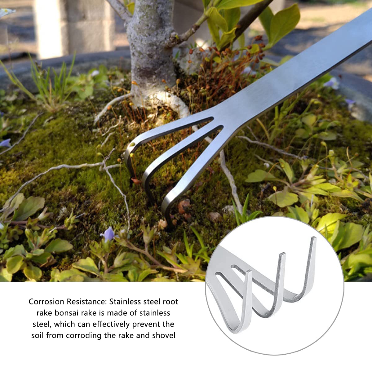 Stainless Steel Root Rake - 3 Prong Garden Tool for Bonsai & Plants - Perfect for Soil Loosening & Gardening