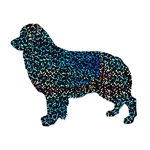 Galaxy Metal Flake
