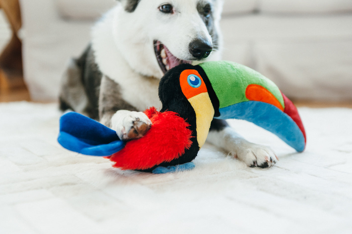 Tito the Toucan Plush Dog Toy - Fetching Flock™ Collection by Pet P.L.A.Y. | Durable & Soft Chew Toy for Small & Medium Dogs | Perfect for Fetch, Cuddling & Interactive Playtime